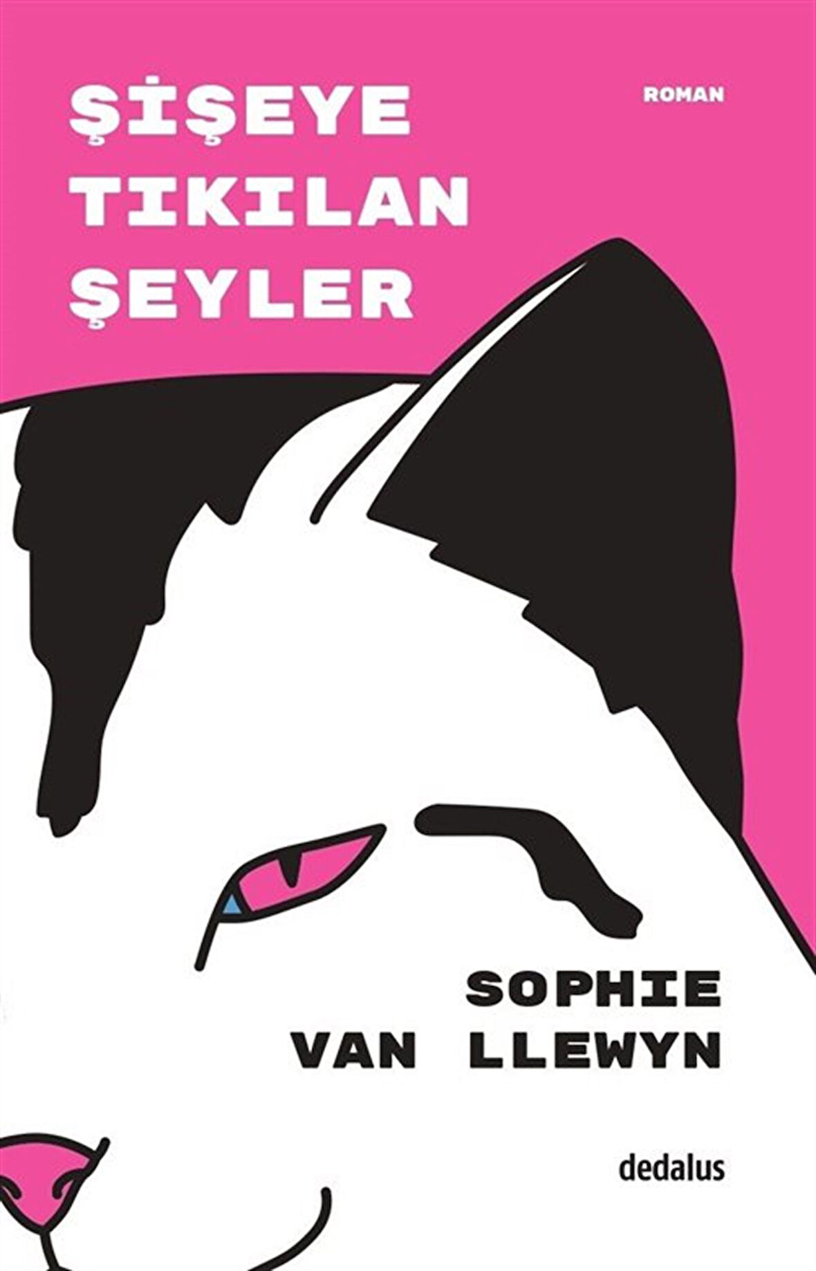 Şişeye Tıkılan Şeyler / Sophie van Llewyn