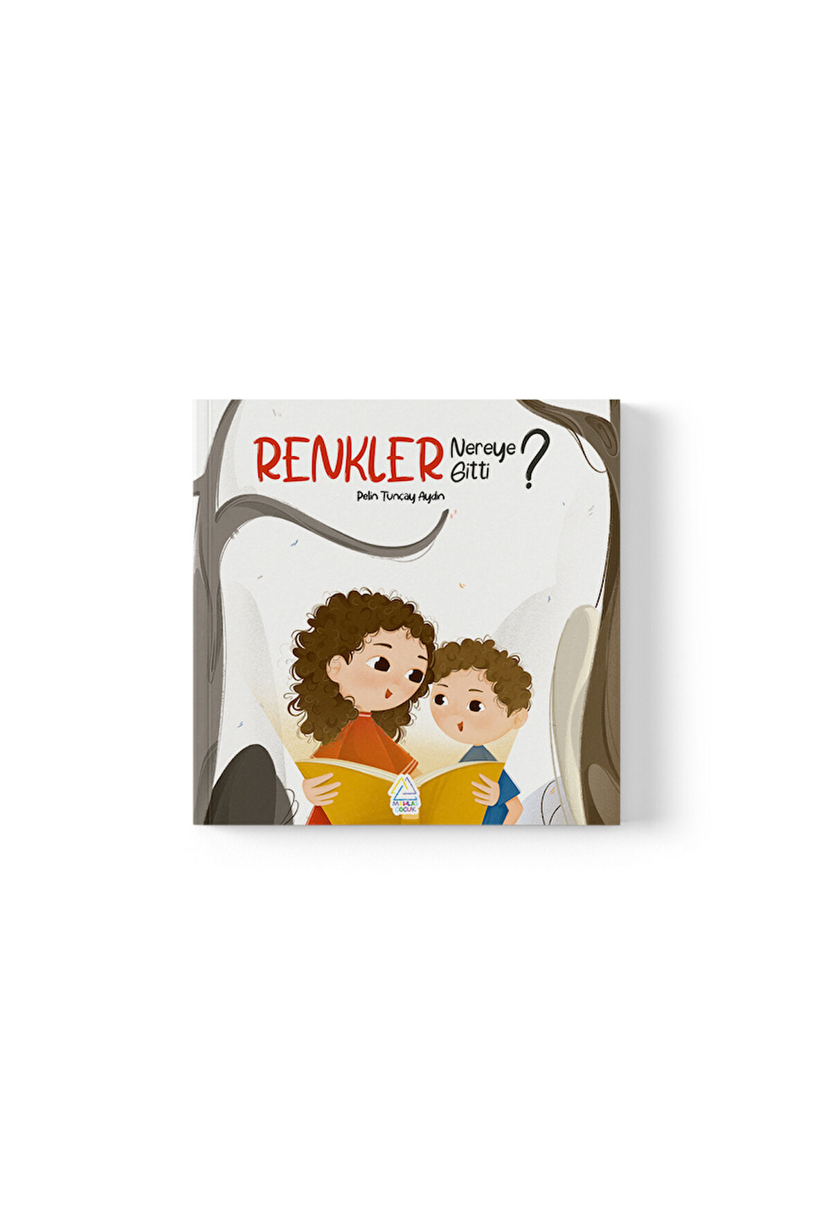 Pelin Tunçay Aydın -   Renkler Nereye Gitti