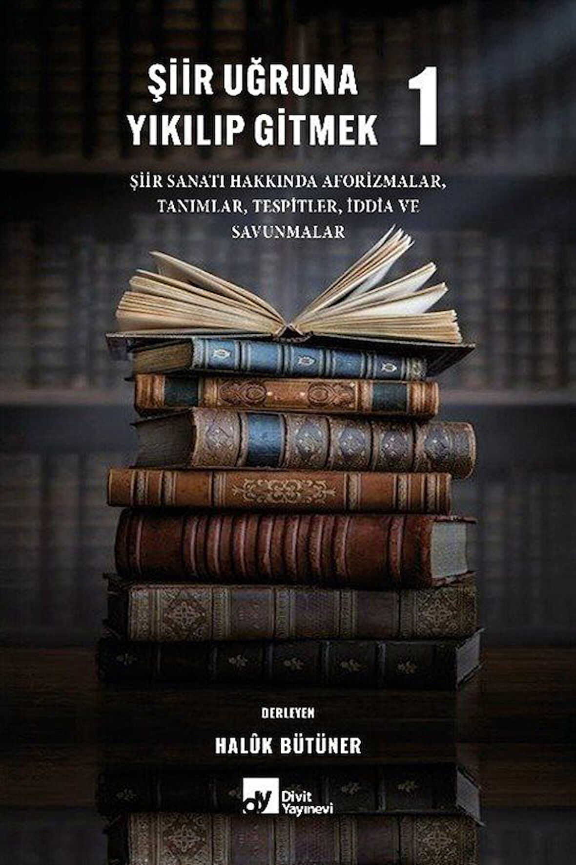 Şiir Uğruna Yıkılıp Gitmek 1 / Haluk Bütüner
