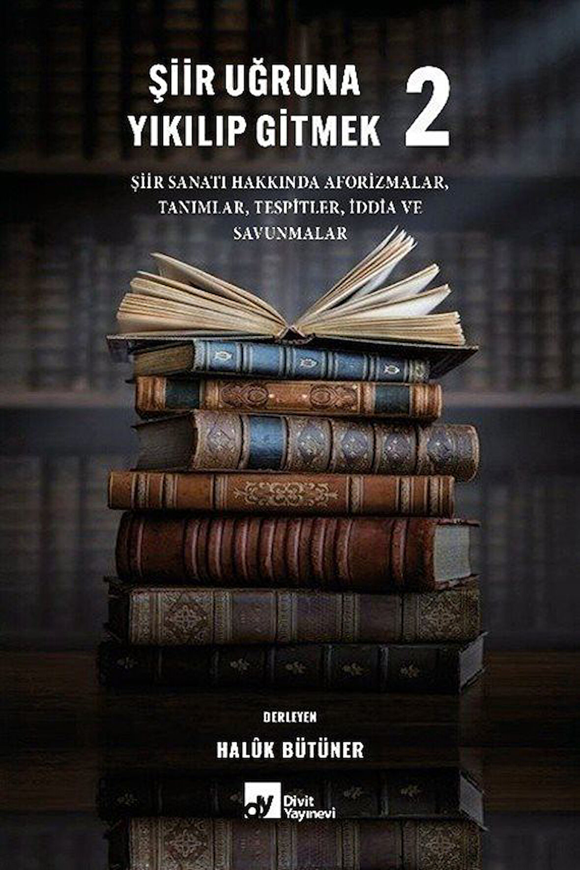 Şiir Uğruna Yıkılıp Gitmek 2 / Haluk Bilginer
