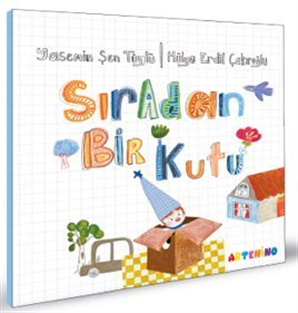 Sıradan Bir Kutu / Yasemin Şen Tüylü