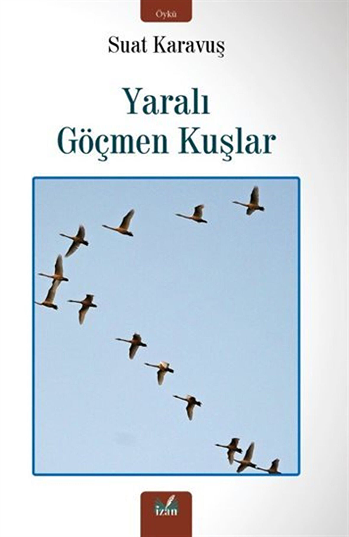 Yaralı Göçmen Kuşlar / Suat Karavuş
