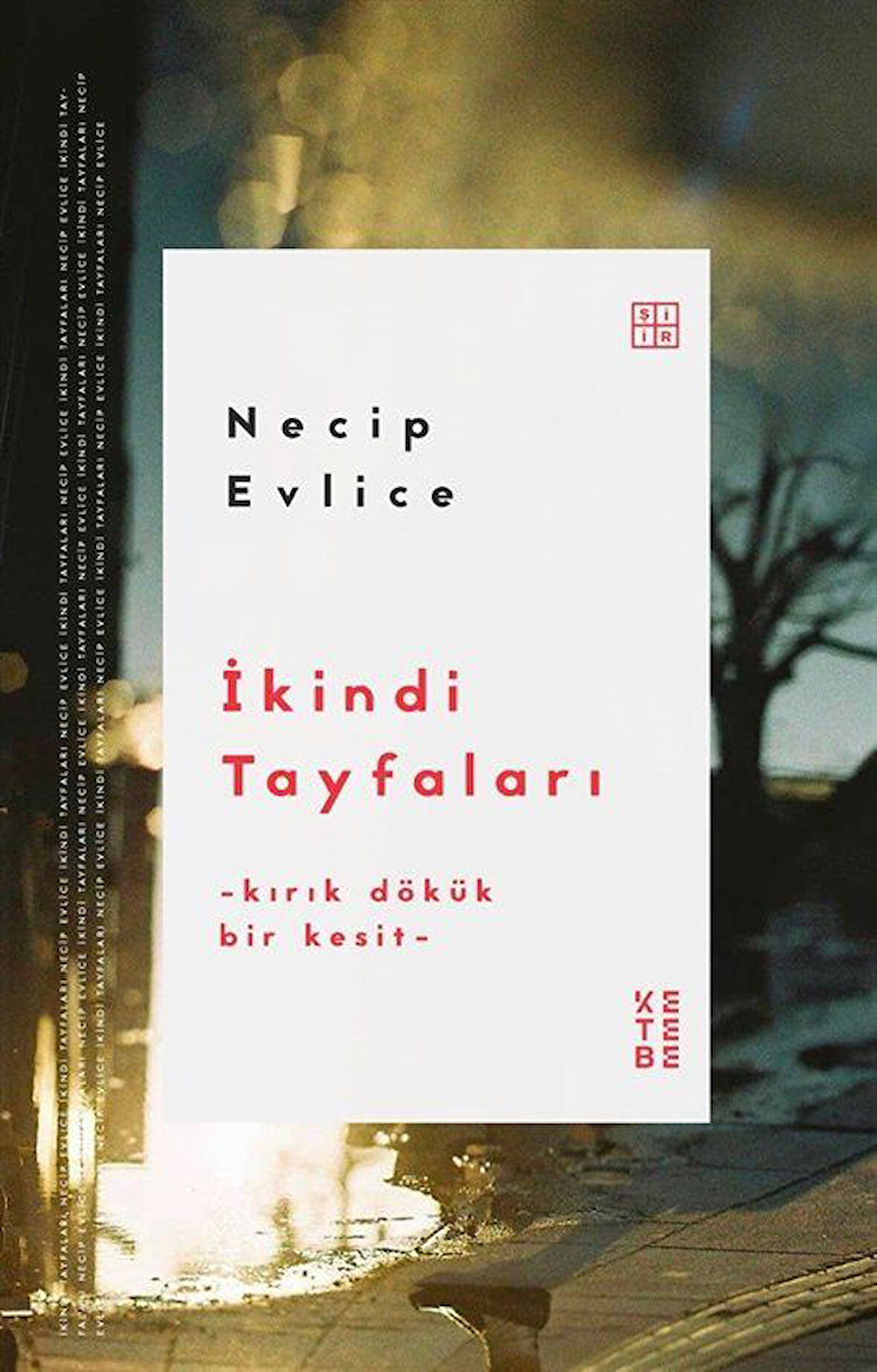İkindi Tayfaları & Kırık Dökük Bir Kesit / Necip Evlice