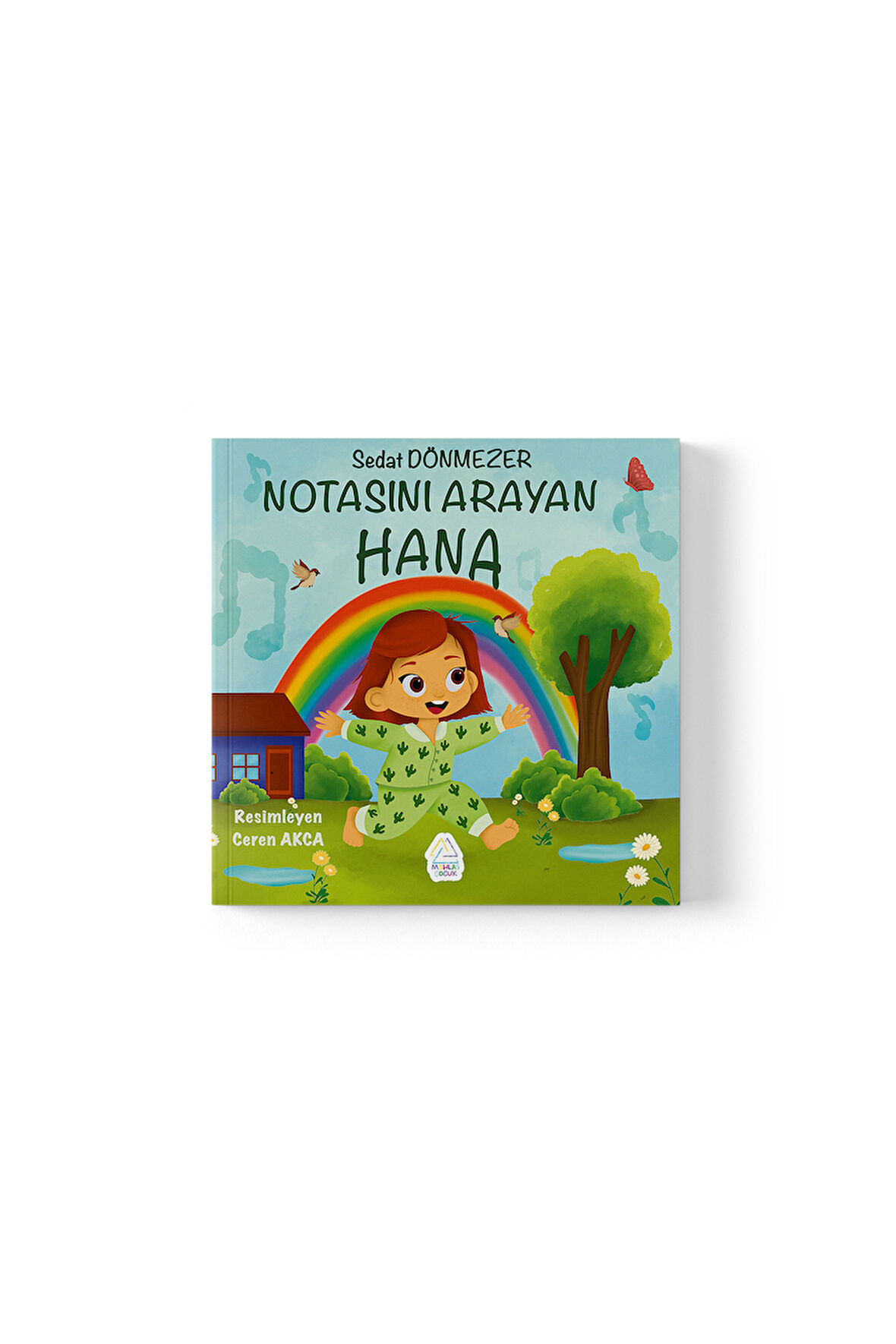 Veysel Sedat Dönmezer - Notasını Arayan Hana