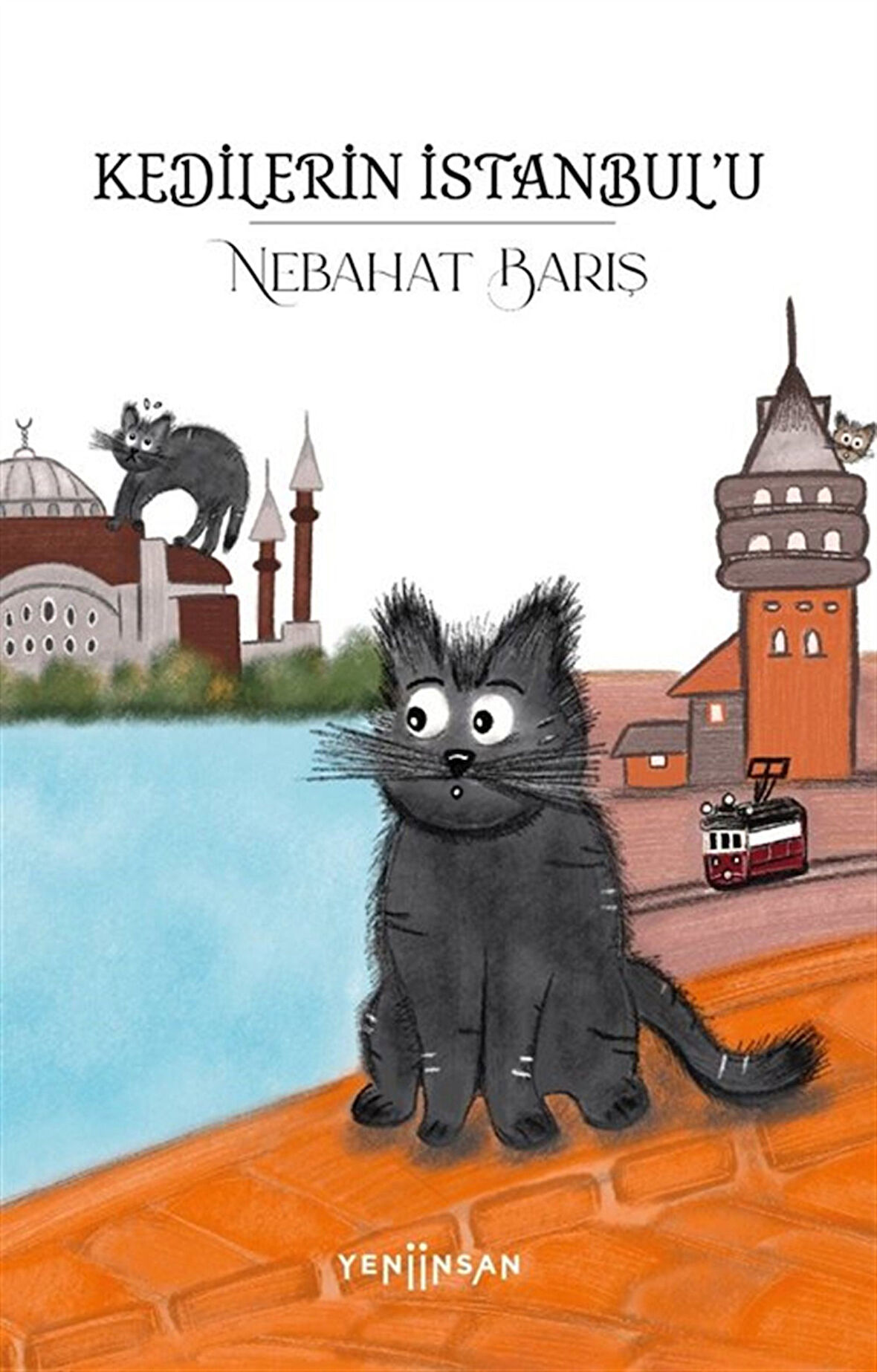 Kedilerin İstanbul'u / Nebahat Barış