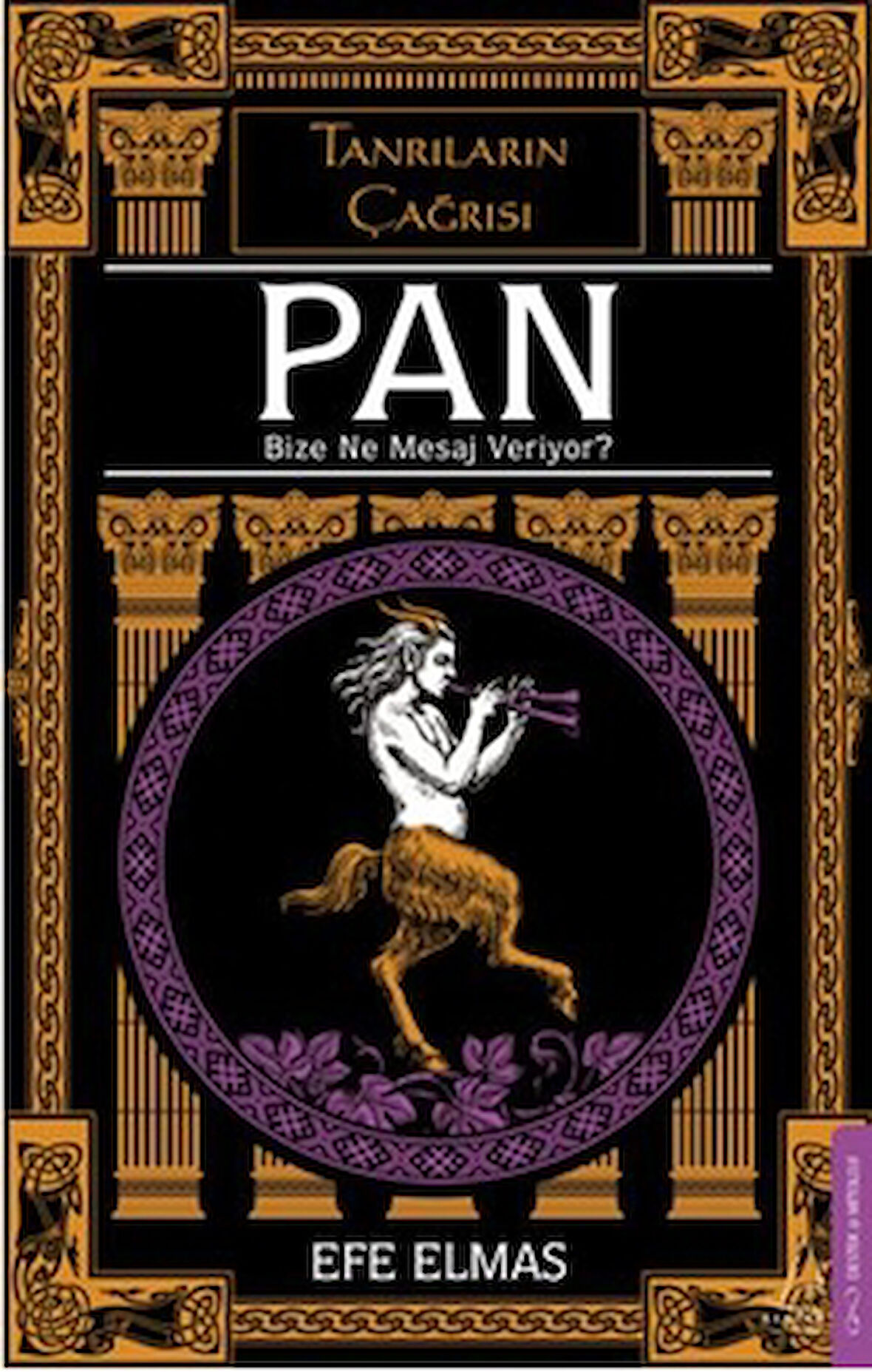 Pan Bize Ne Mesaj Veriyor?