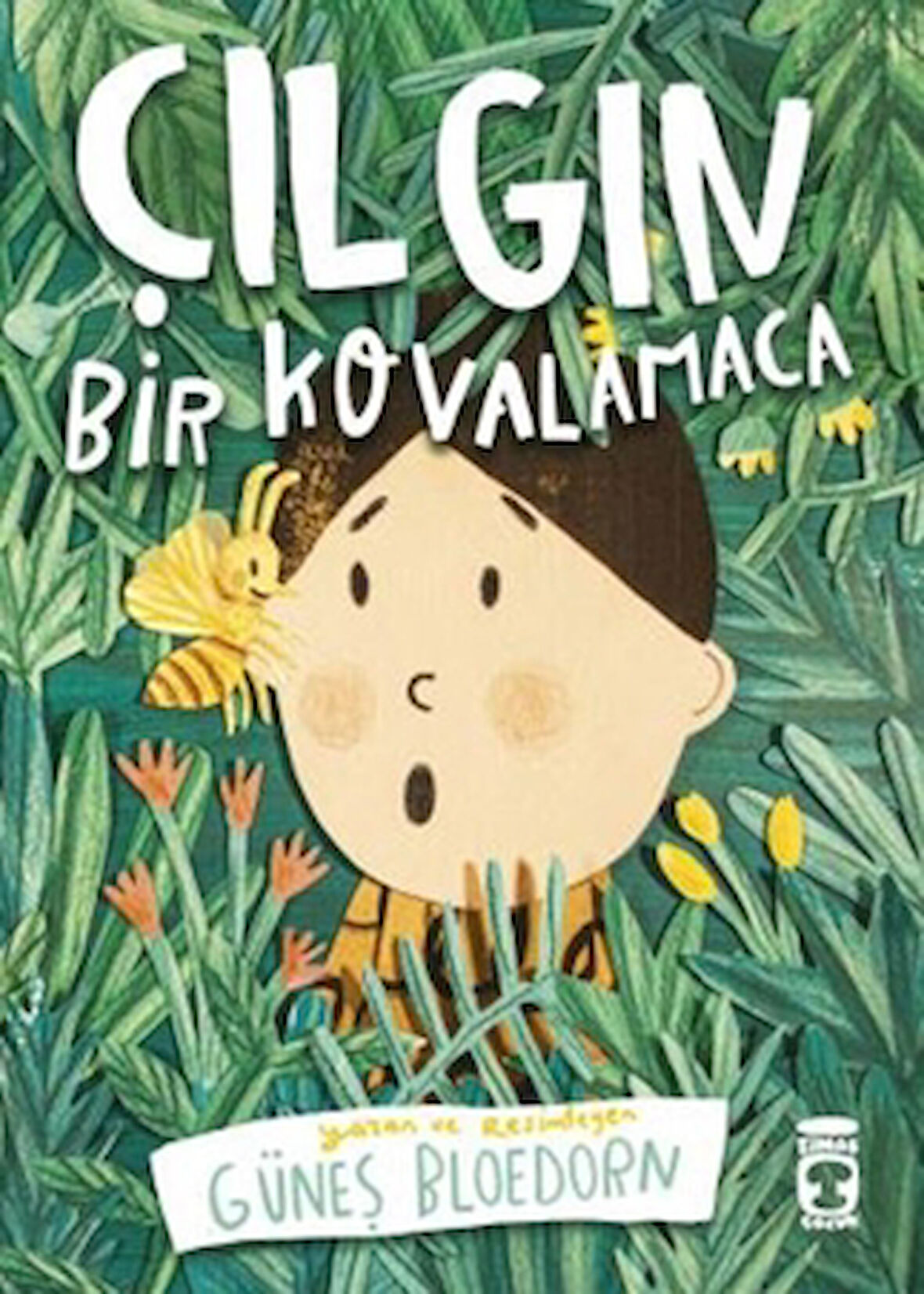 Çılgın Bir Kovalamaca