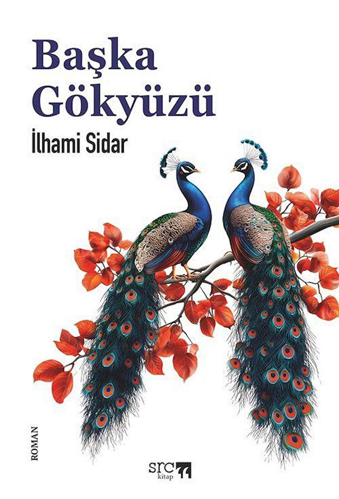Başka Gökyüzü / İlhami Sidar