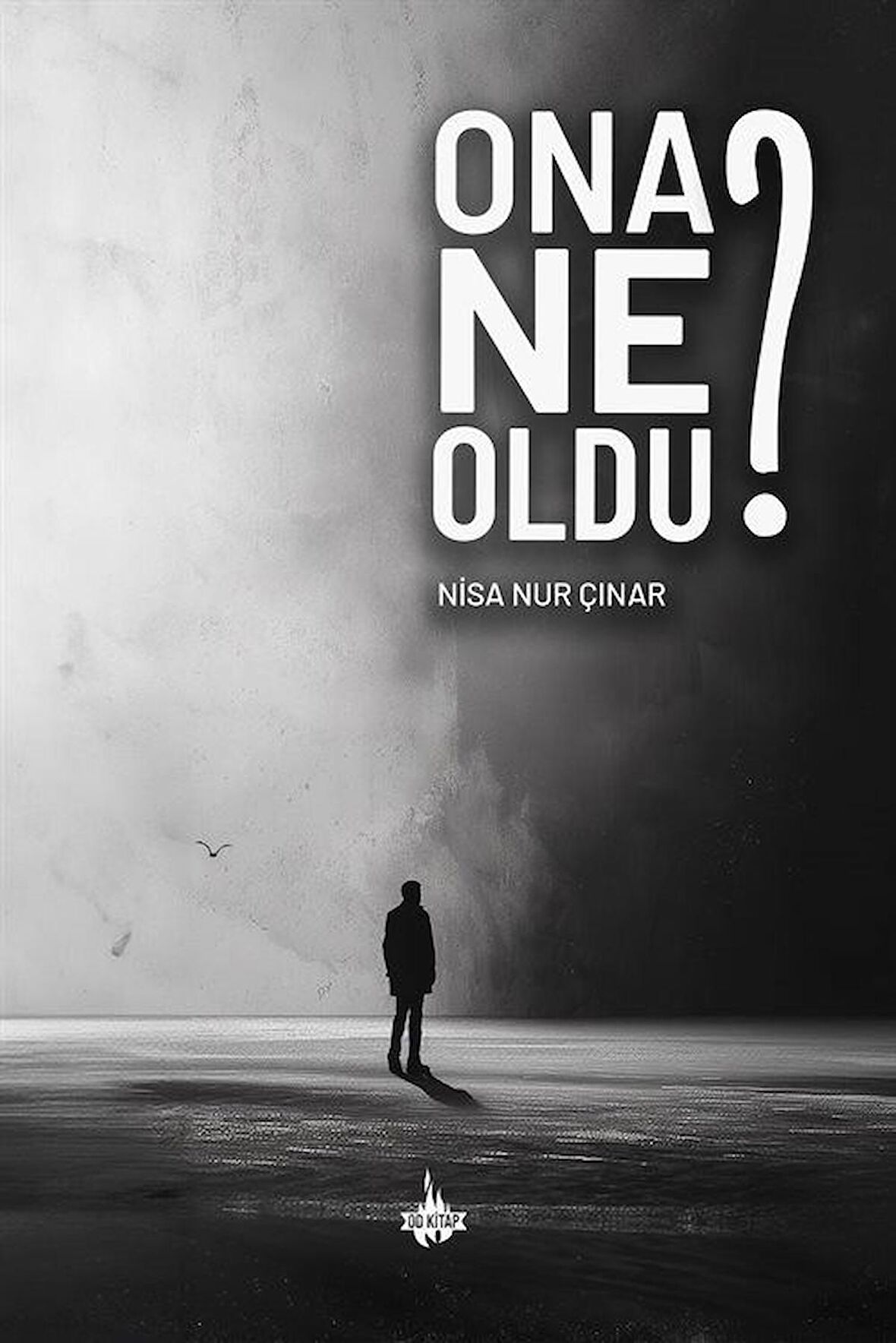 Ona Ne Oldu? / Nisa Nur Çınar