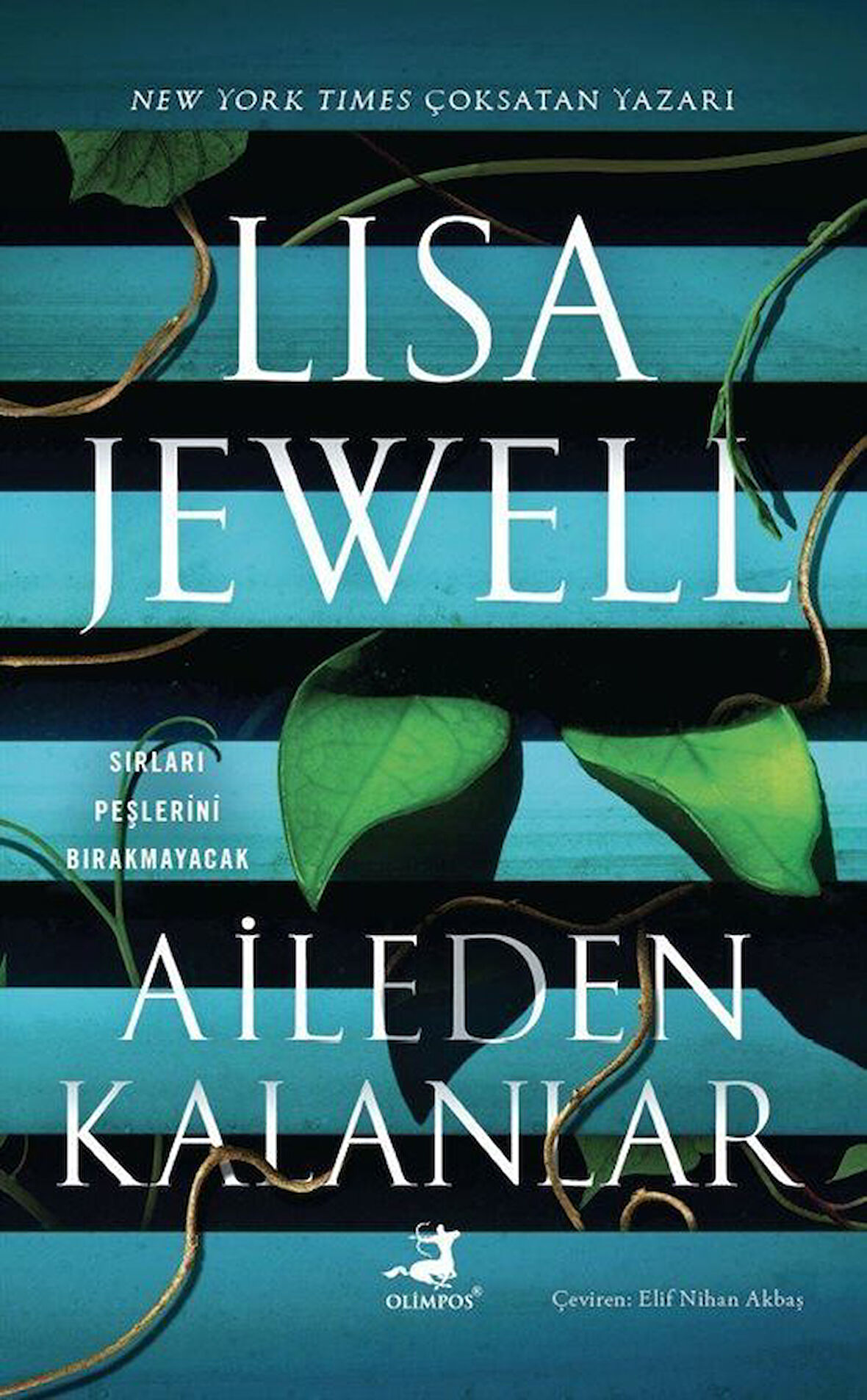 Aileden Kalanlar / Lisa Jewell
