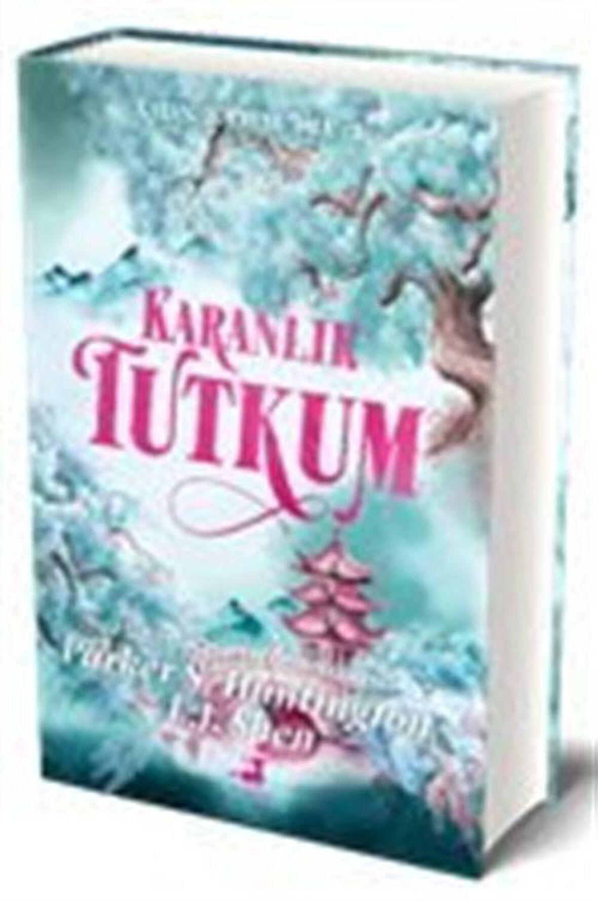 Karanlık Tutkum (Ciltli) / L. J. Shen
