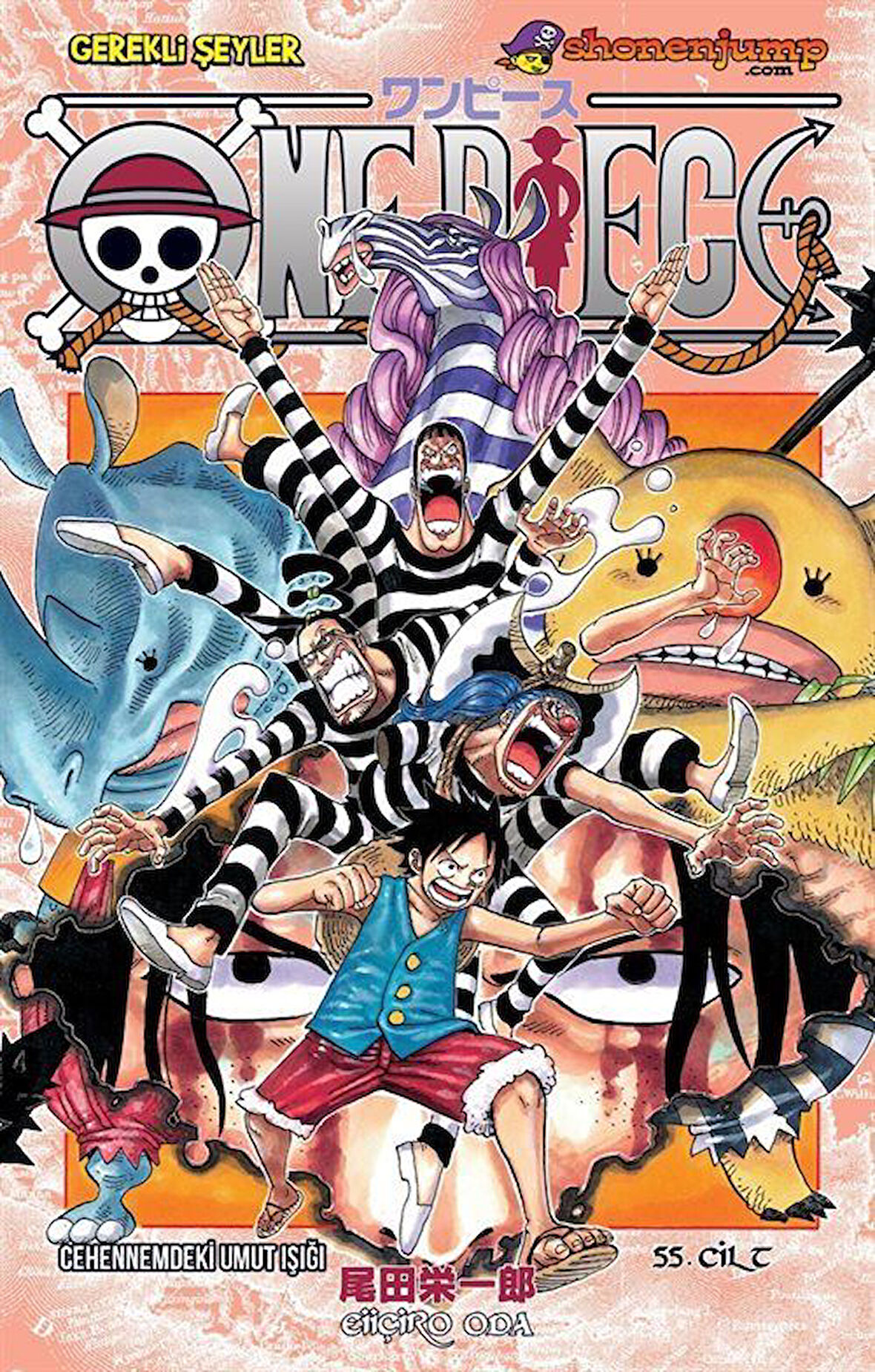 One Piece 55. Cilt / Cehennemdeki Umut Işığı / Eiiçiro Oda
