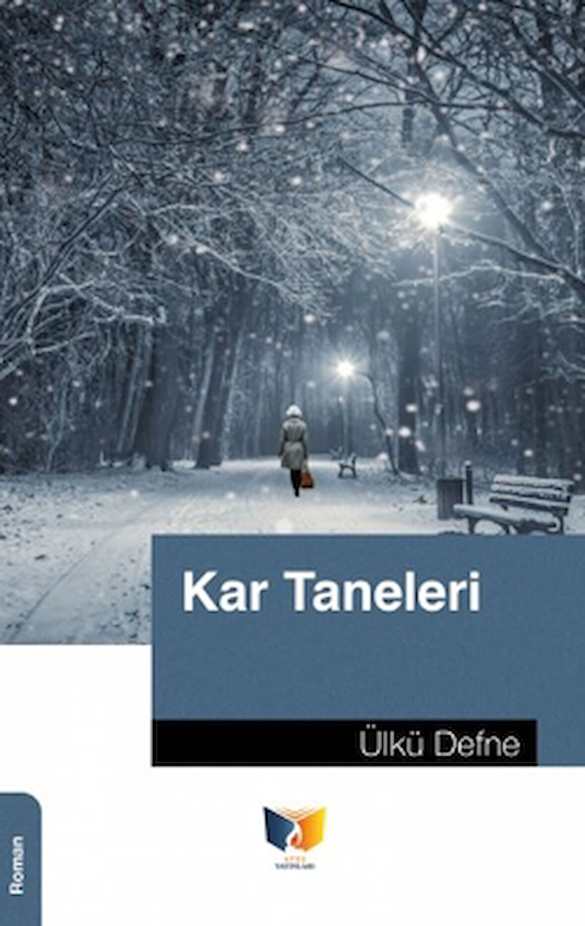 Kar Taneleri