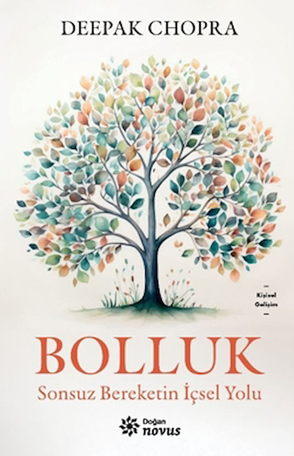 Bolluk