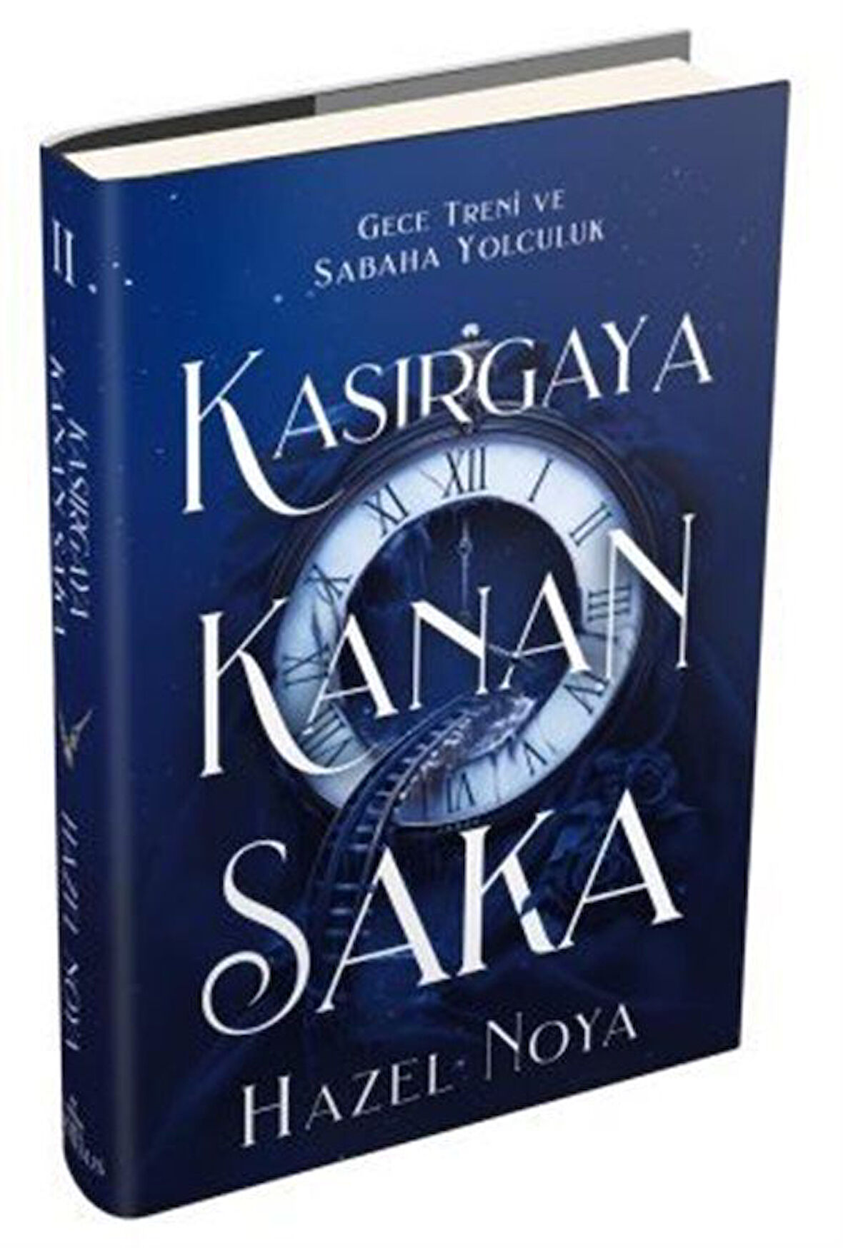 Kasırgaya Kanan Saka 2 (Ciltli) / Hazel Noya