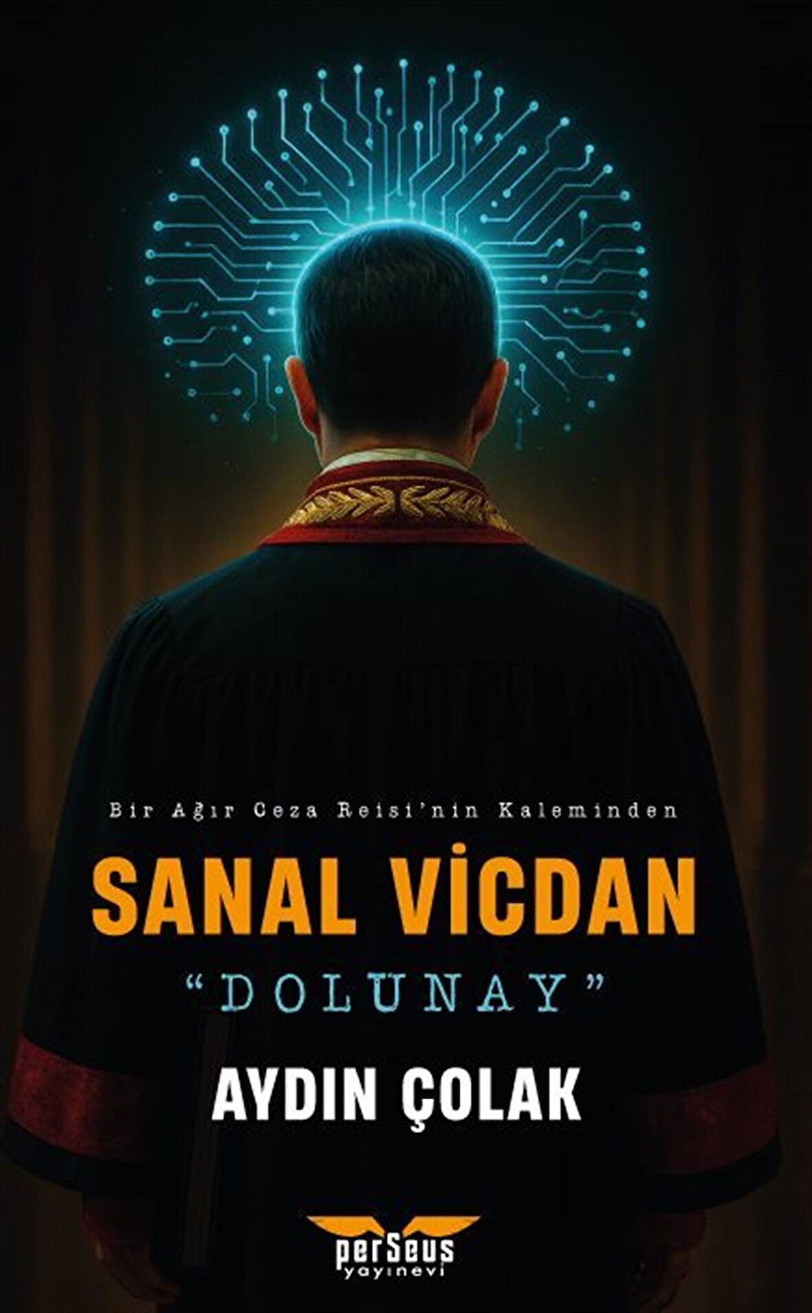 Sanal Vicdan - Dolunay / Aydın Çolak