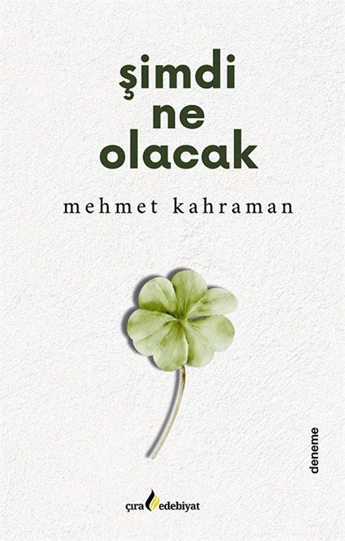 Şimdi Ne Olacak / Mehmet Kahraman