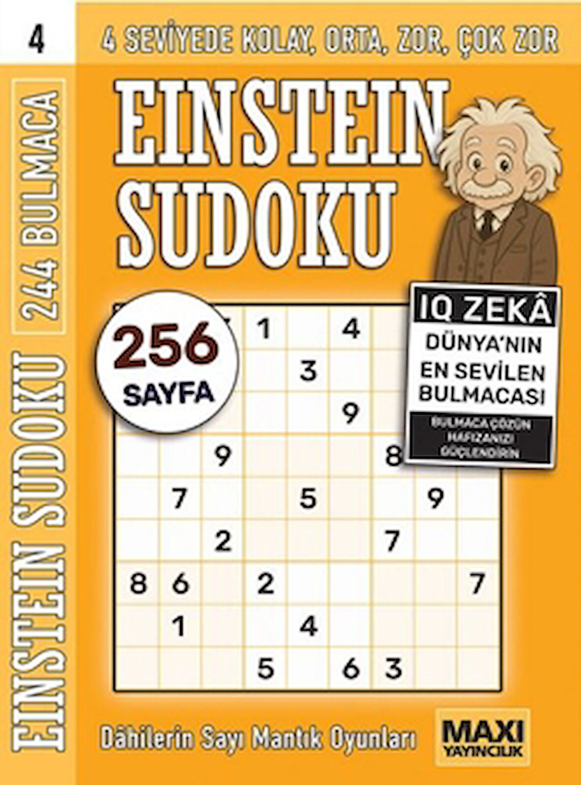 Einstein Sudoku 4
