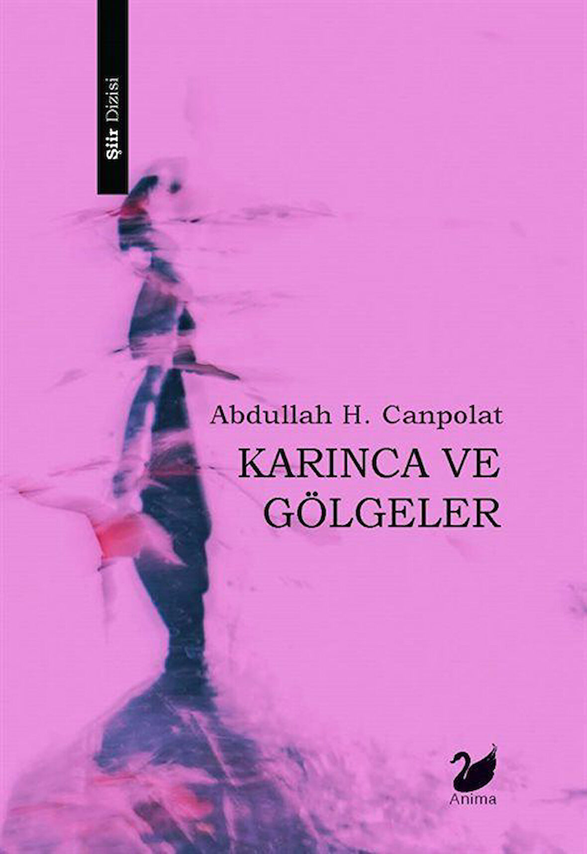 Karınca ve Gölgeler / Abdullah H. Canpolat
