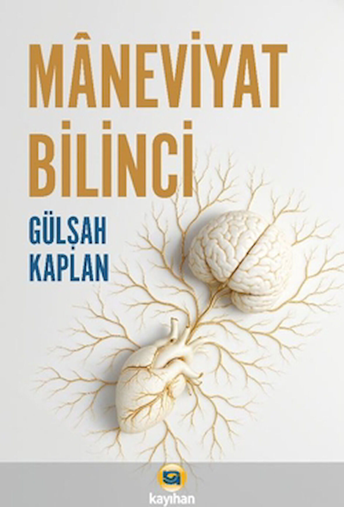 Maneviyat Bilinci