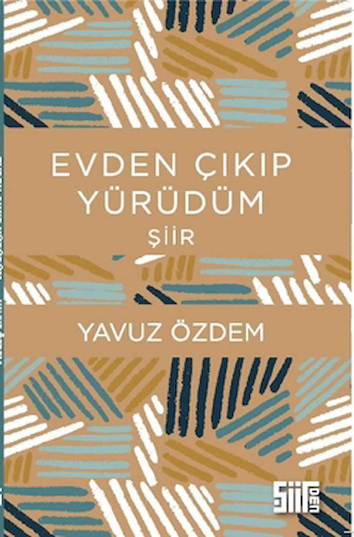 Evden Çıkıp Yürüdüm