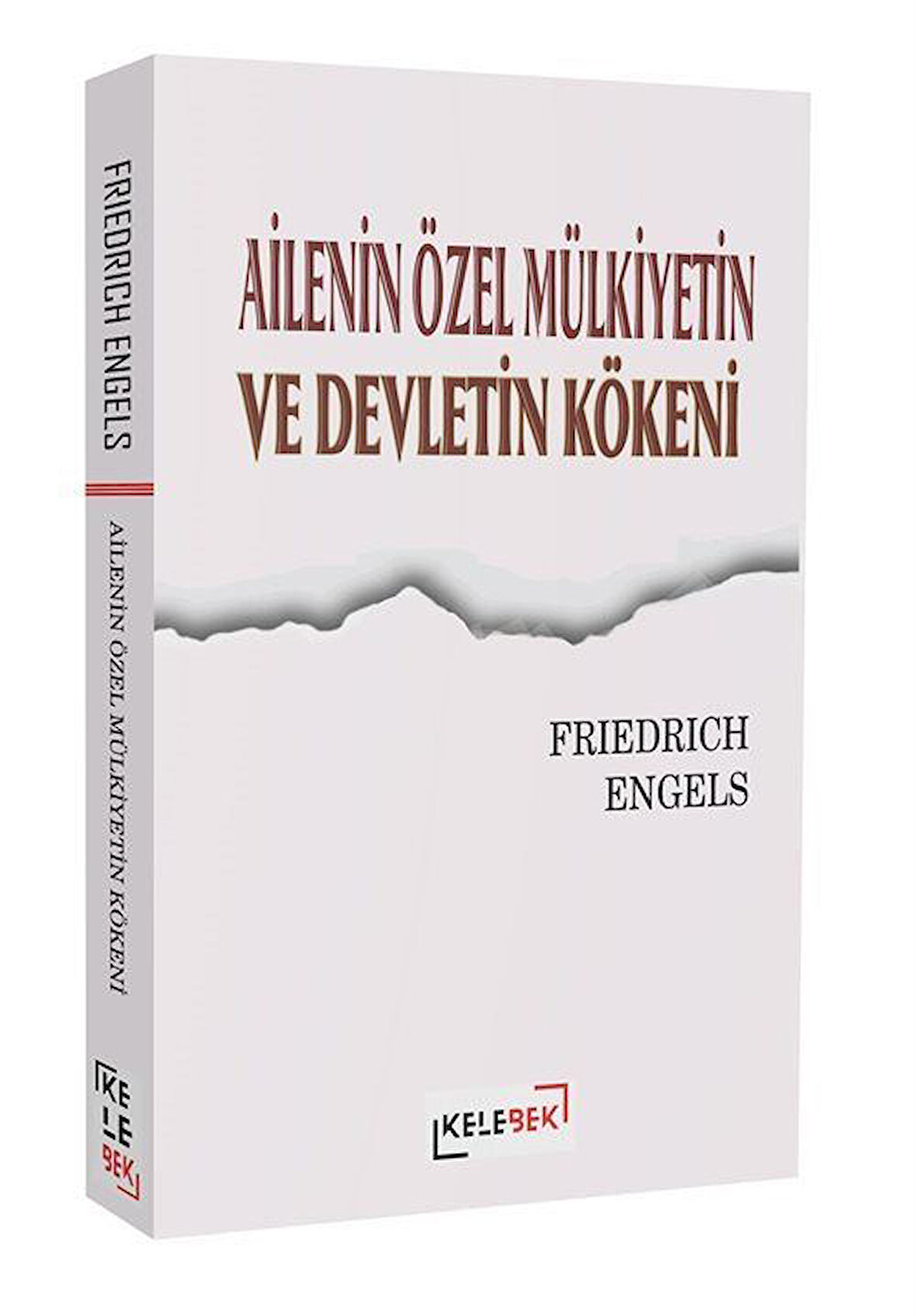 Ailenin Özel Mülkiyetin ve Devletin Kökeni / Friedrich Engels