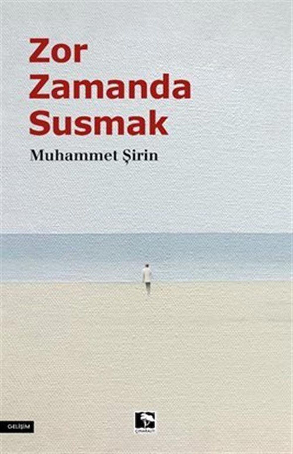 Zor Zamanda Susmak / Muhammet Şirin