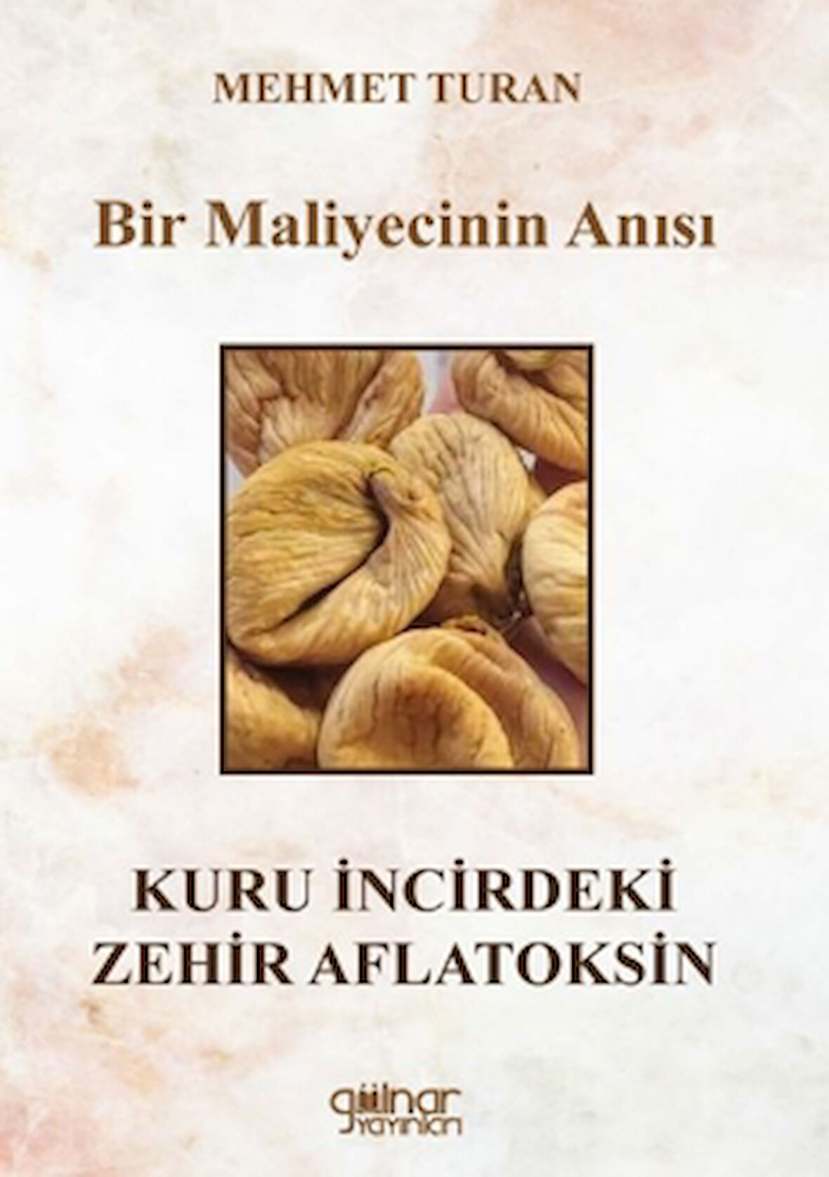 Bir Maliyecinin Anısı Kuru İncirdeki Zehir Aflatoksin