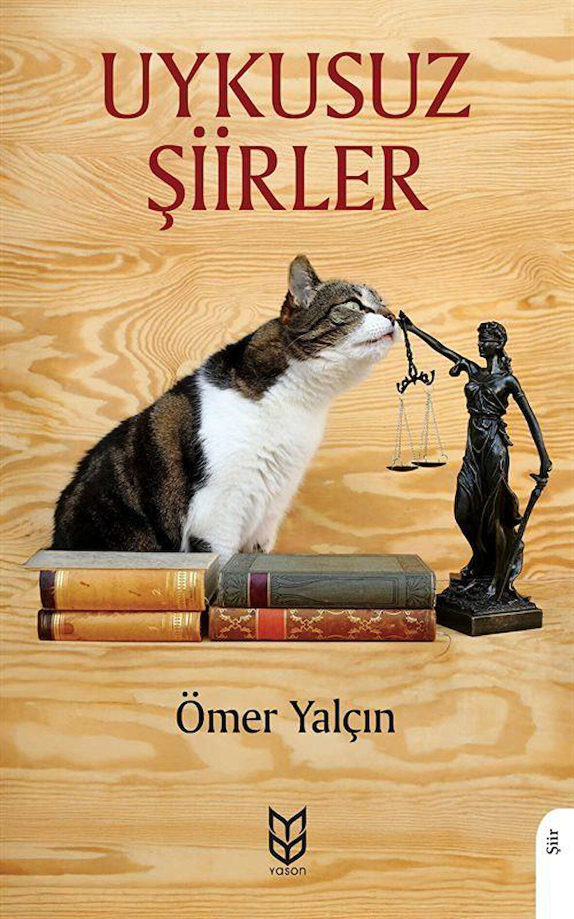 Uykusuz Şiirler / Ömer Yalçın