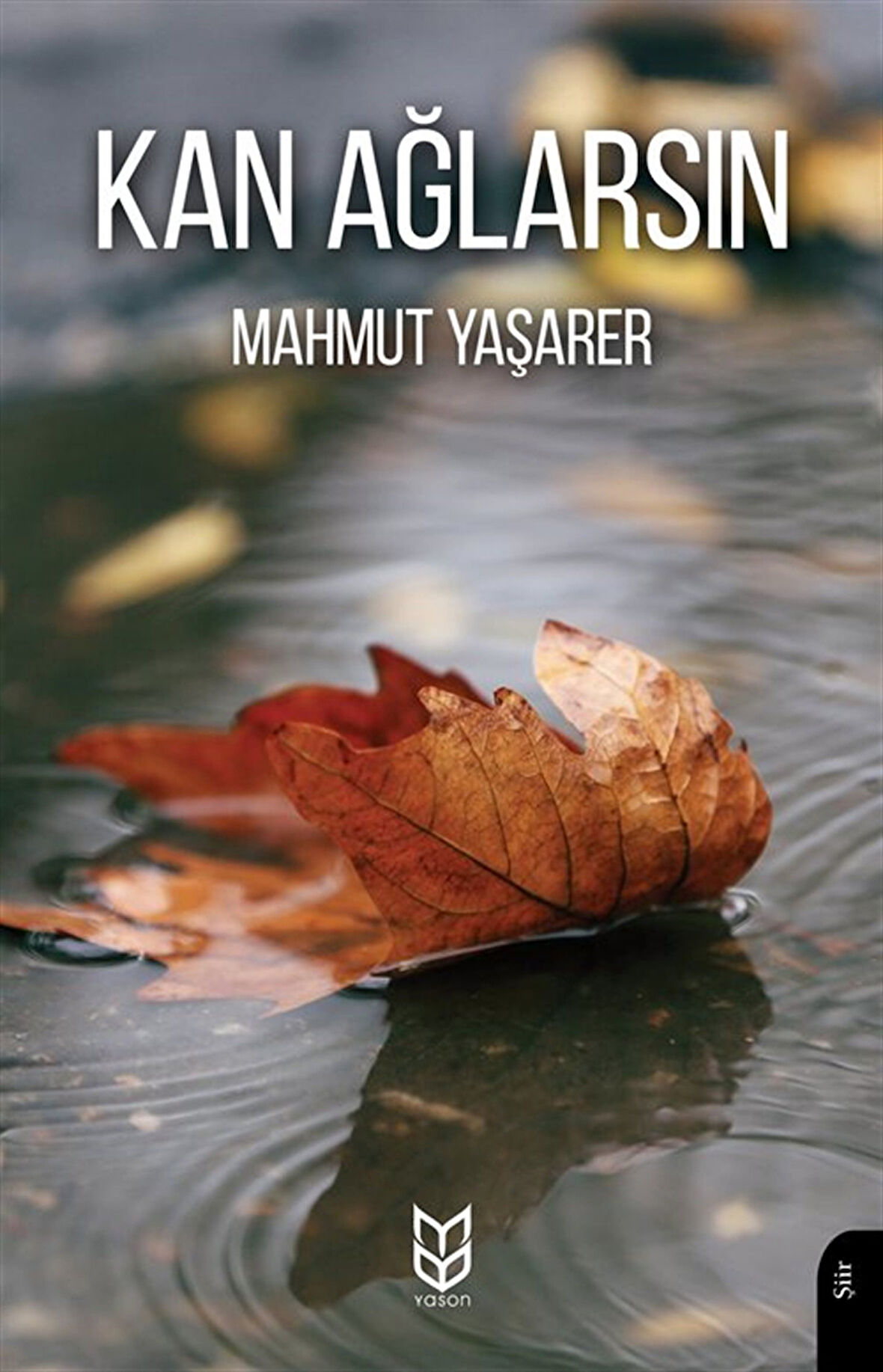 Kan Ağlarsın / Mahmut Yaşarer