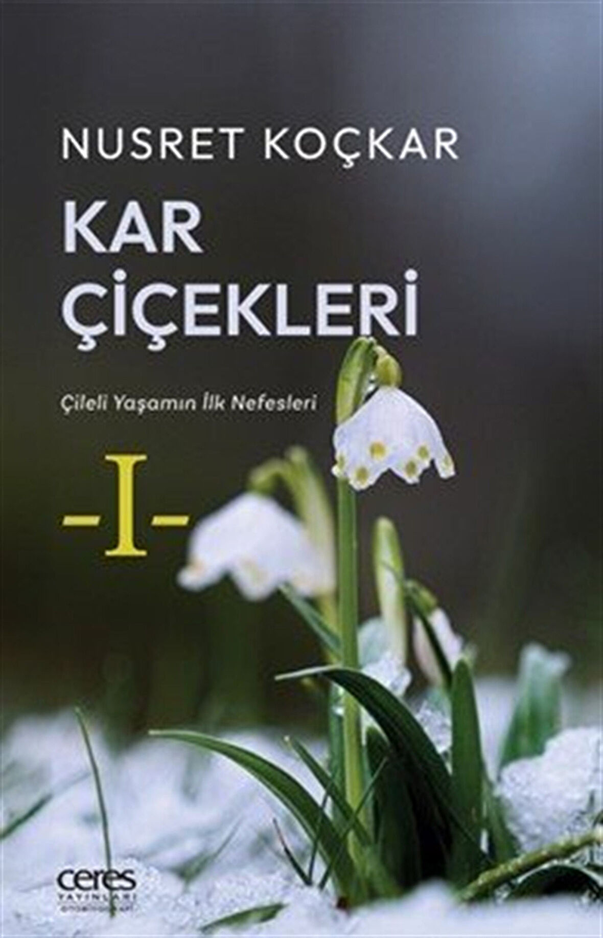 Kar Çiçekleri / Nusret Koçkar
