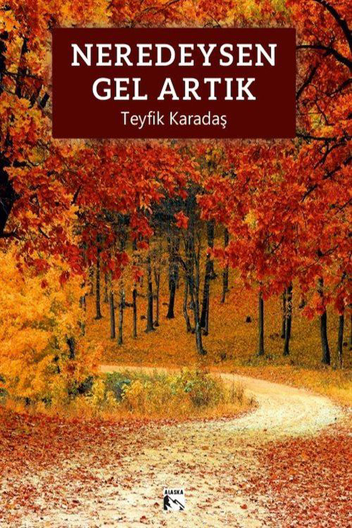 Neredeysen Gel Artık / Teyfik Karadaş