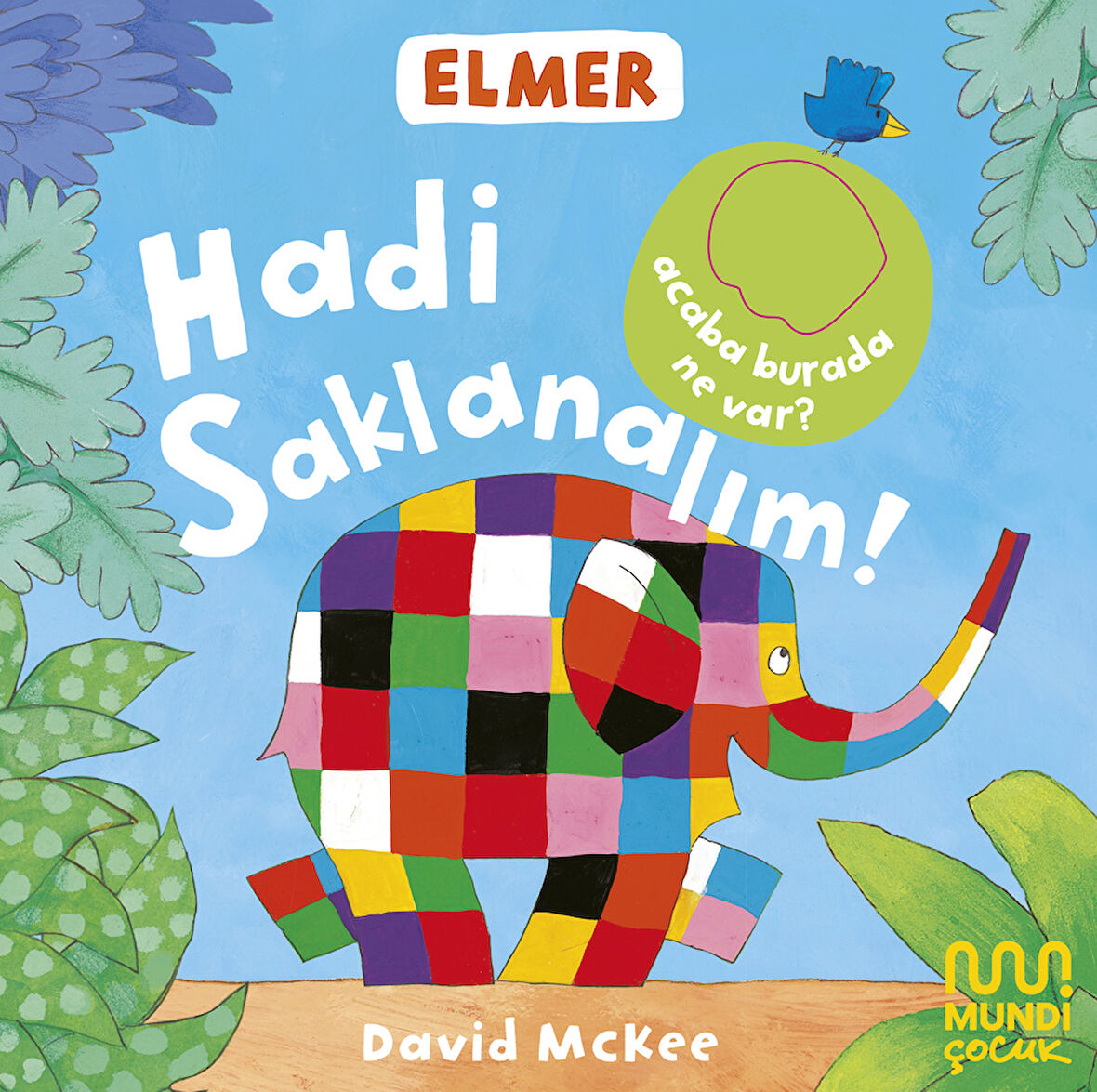 Elmer Kütüphanesi Hadi Saklanalım