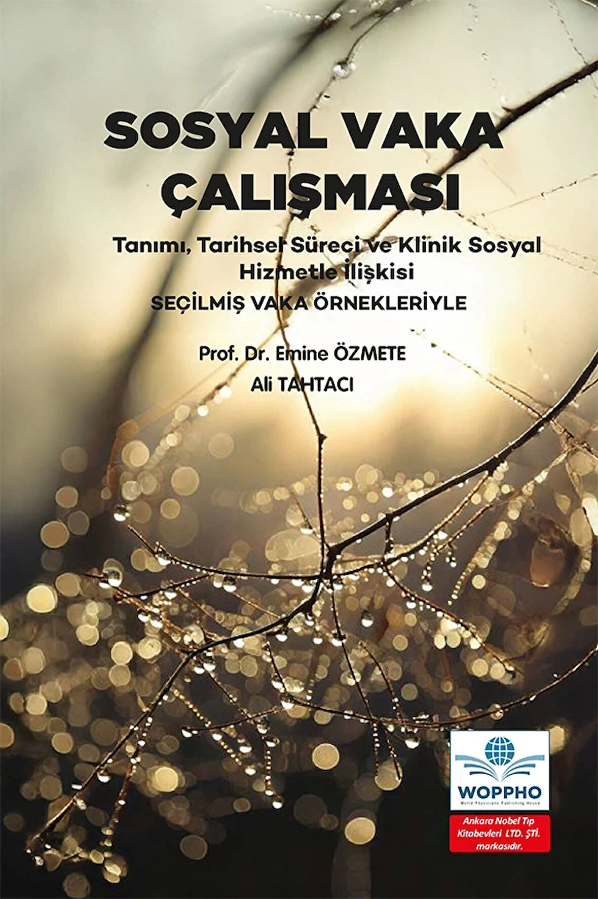 Sosyal Vaka Çalışması