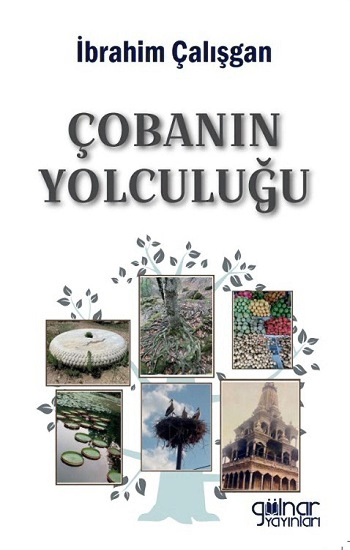 Çobanın Yolculuğu