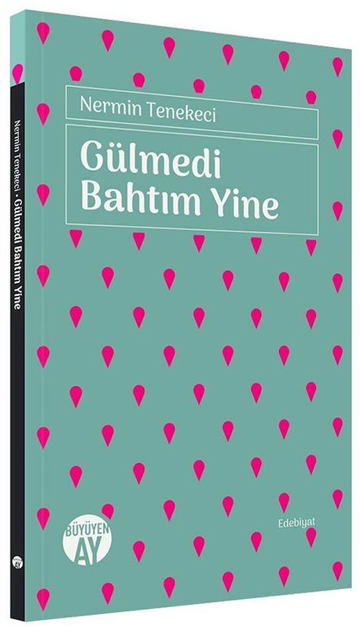 Gülmedi Bahtım Yine / Nermin Tenekeci