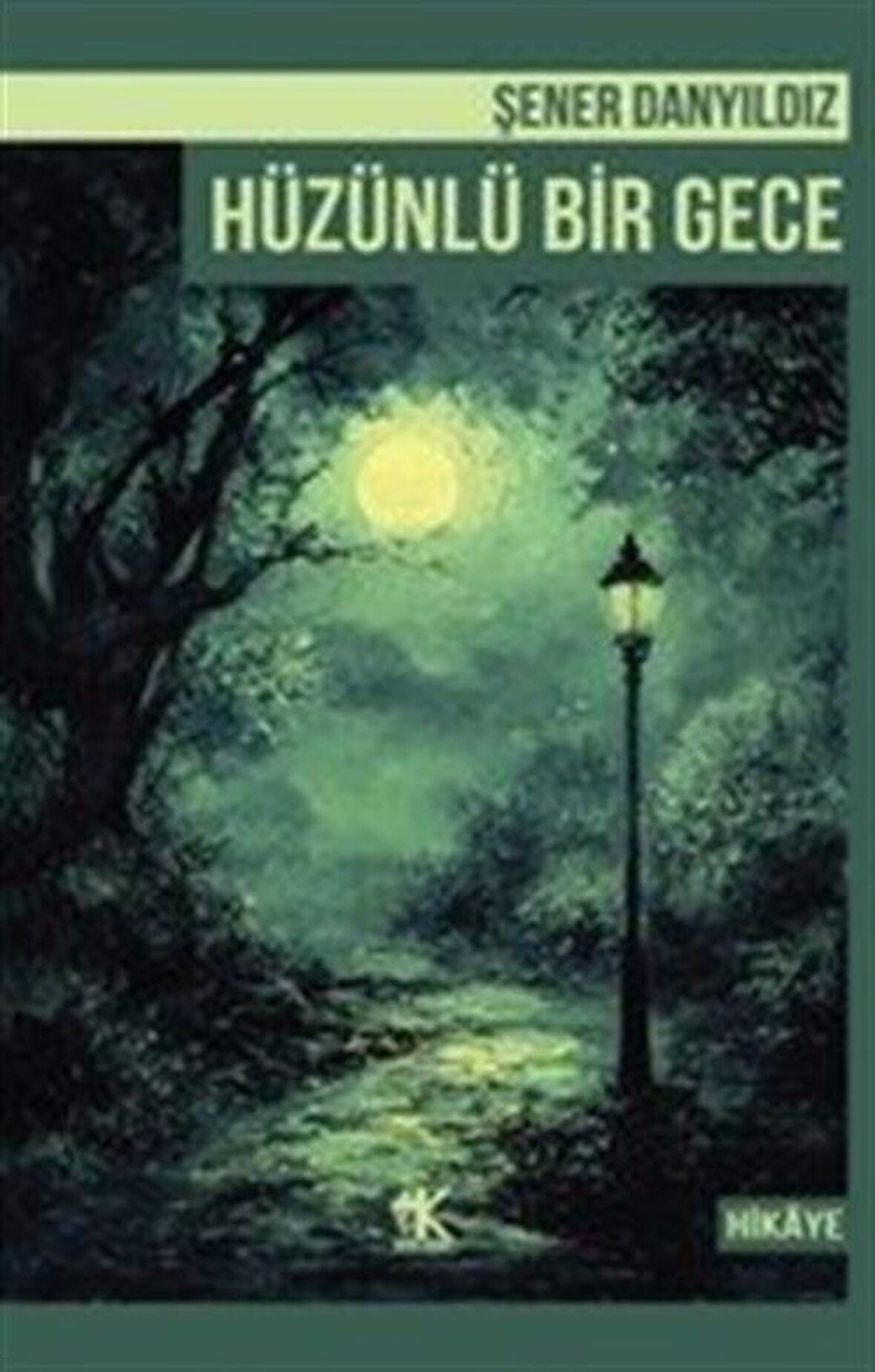 Hüzünlü Bir Gece / Şener Danyıldız