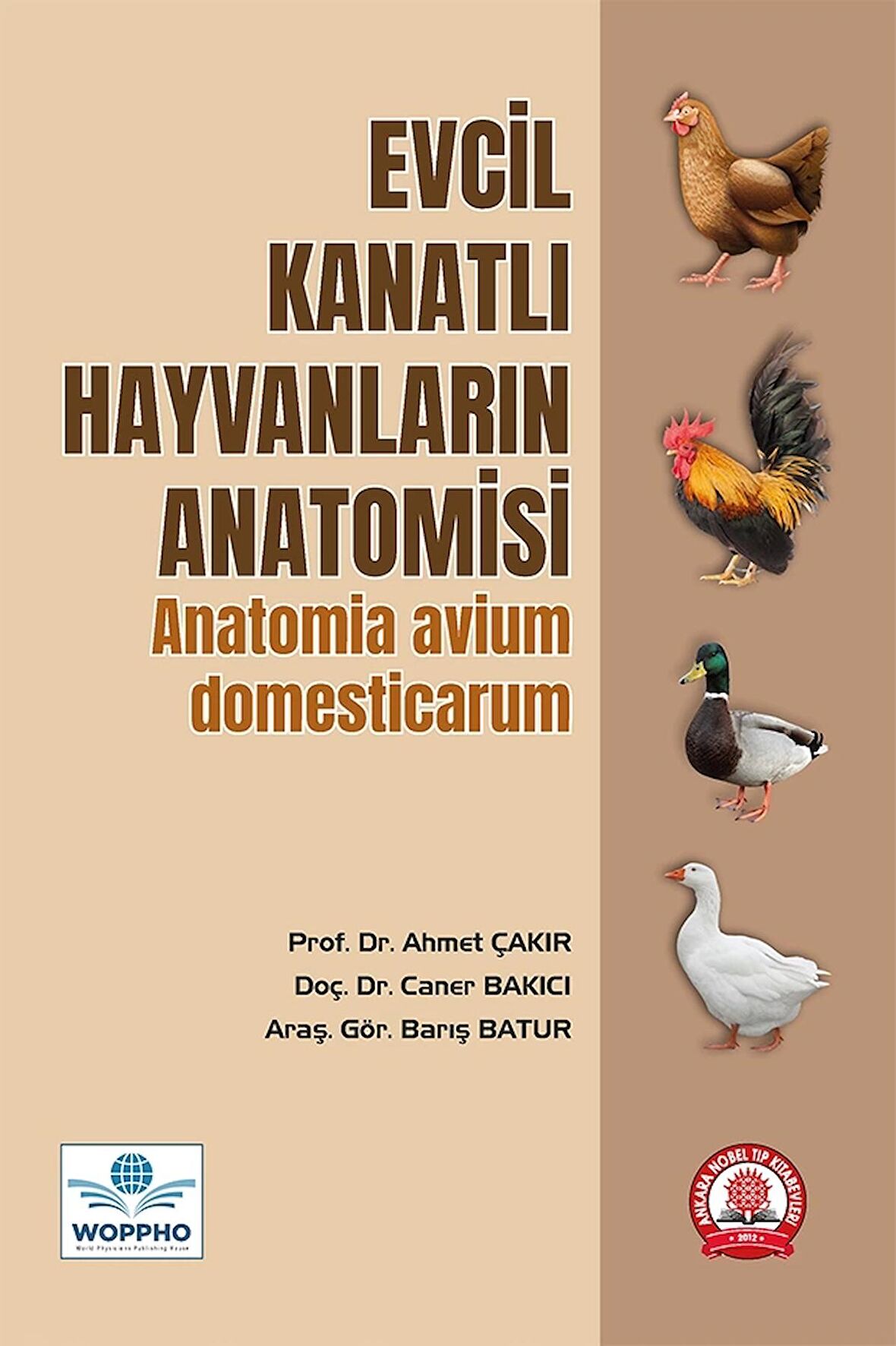 Evcil Kanatlı Hayvanların Anatomisi