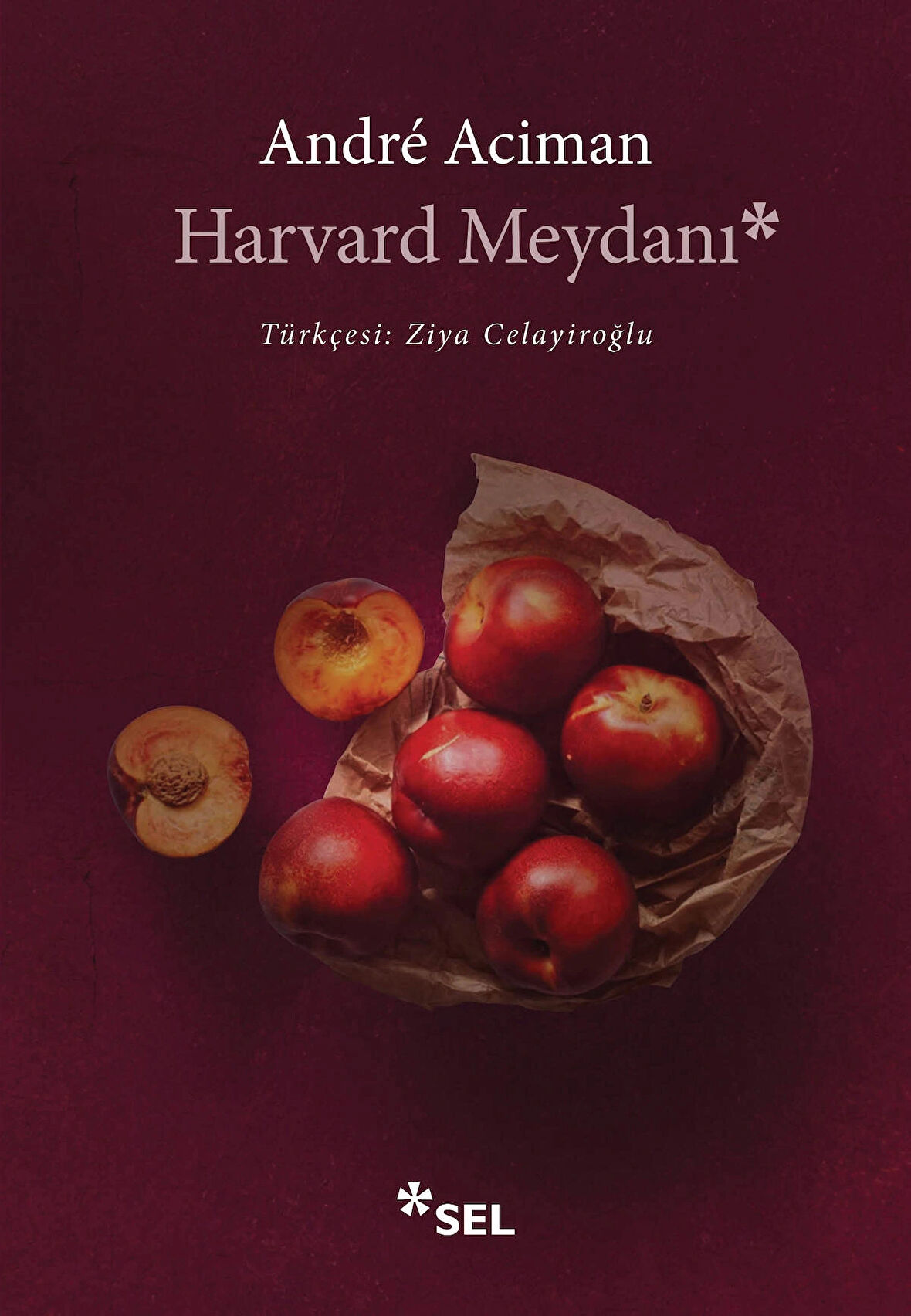 Harvard Meydanı / Andre Aciman