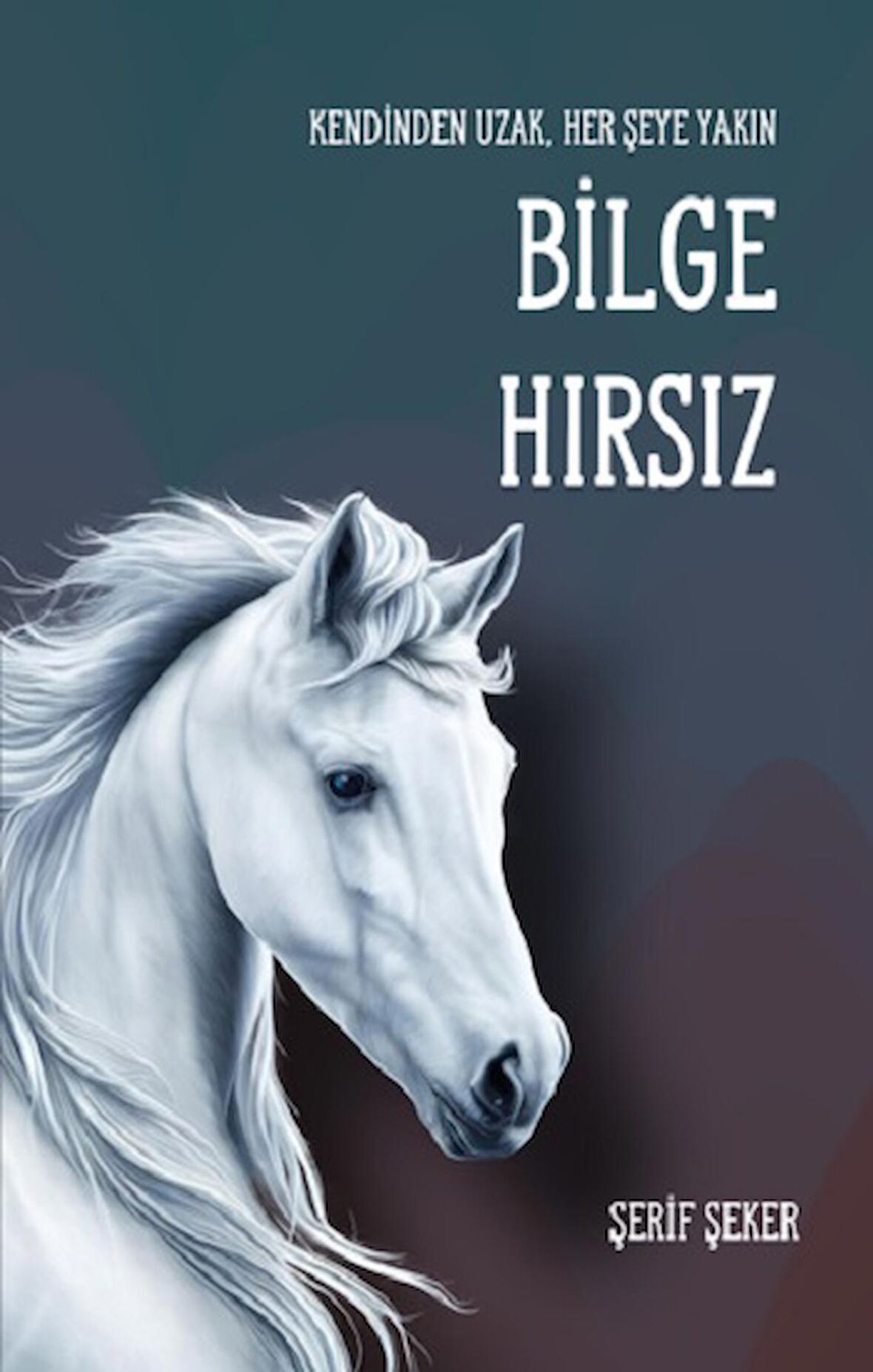 Bilge Hırsız