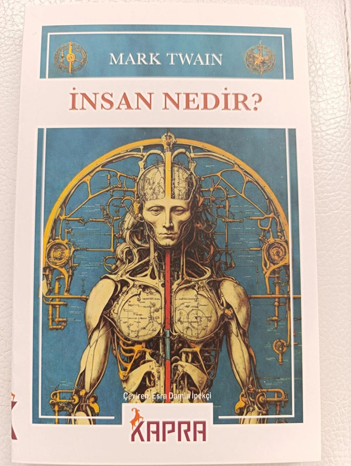 İNSAN NEDİR 