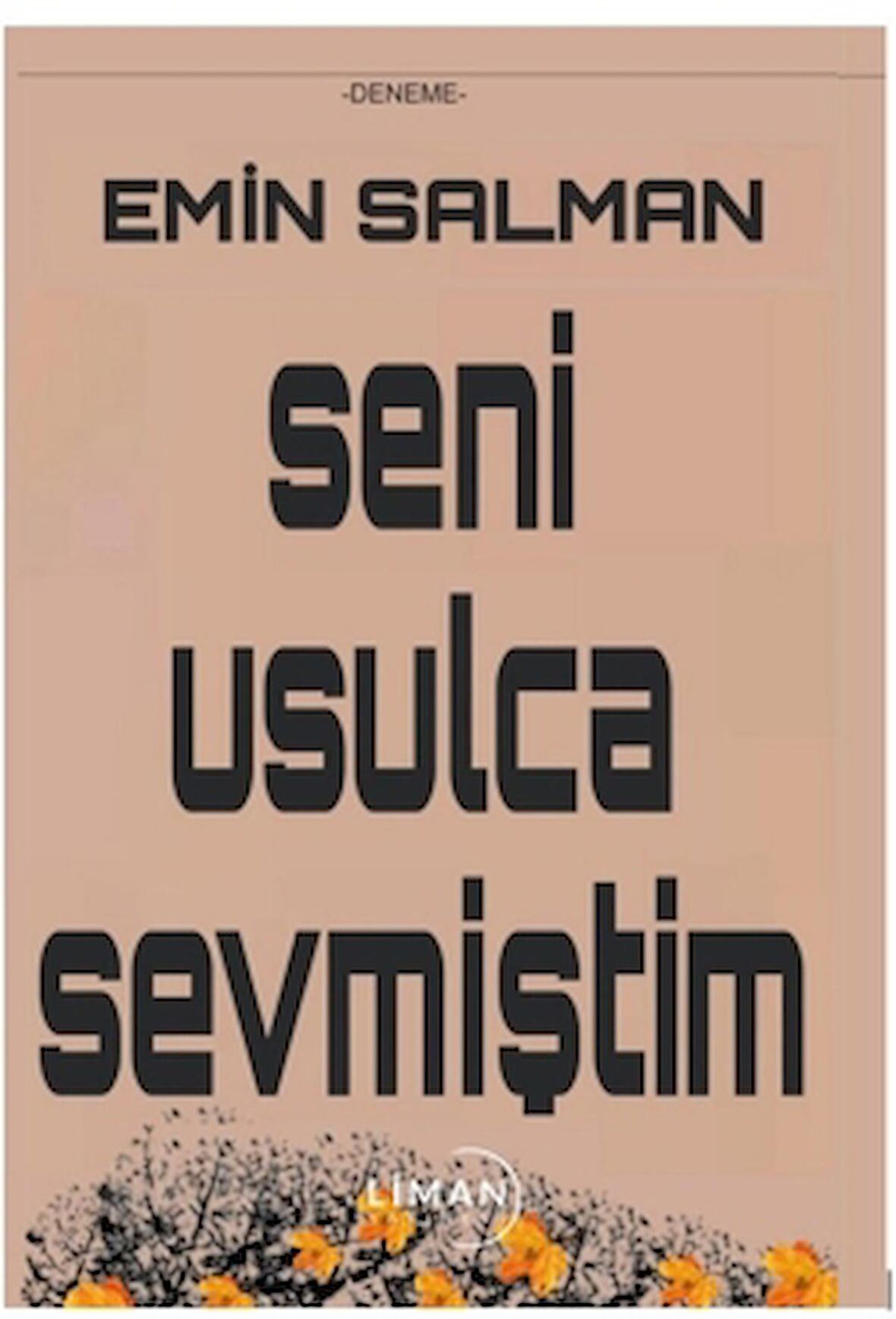 Seni Usulca Sevmiştim