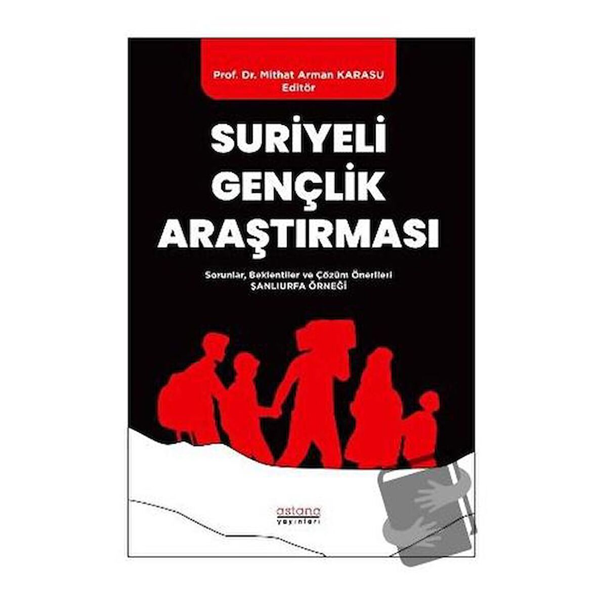 Suriyeli Gençlik Araştırması - Sorunlar, Beklentiler ve Çözüm Önerileri: Şanlıurfa Örneği