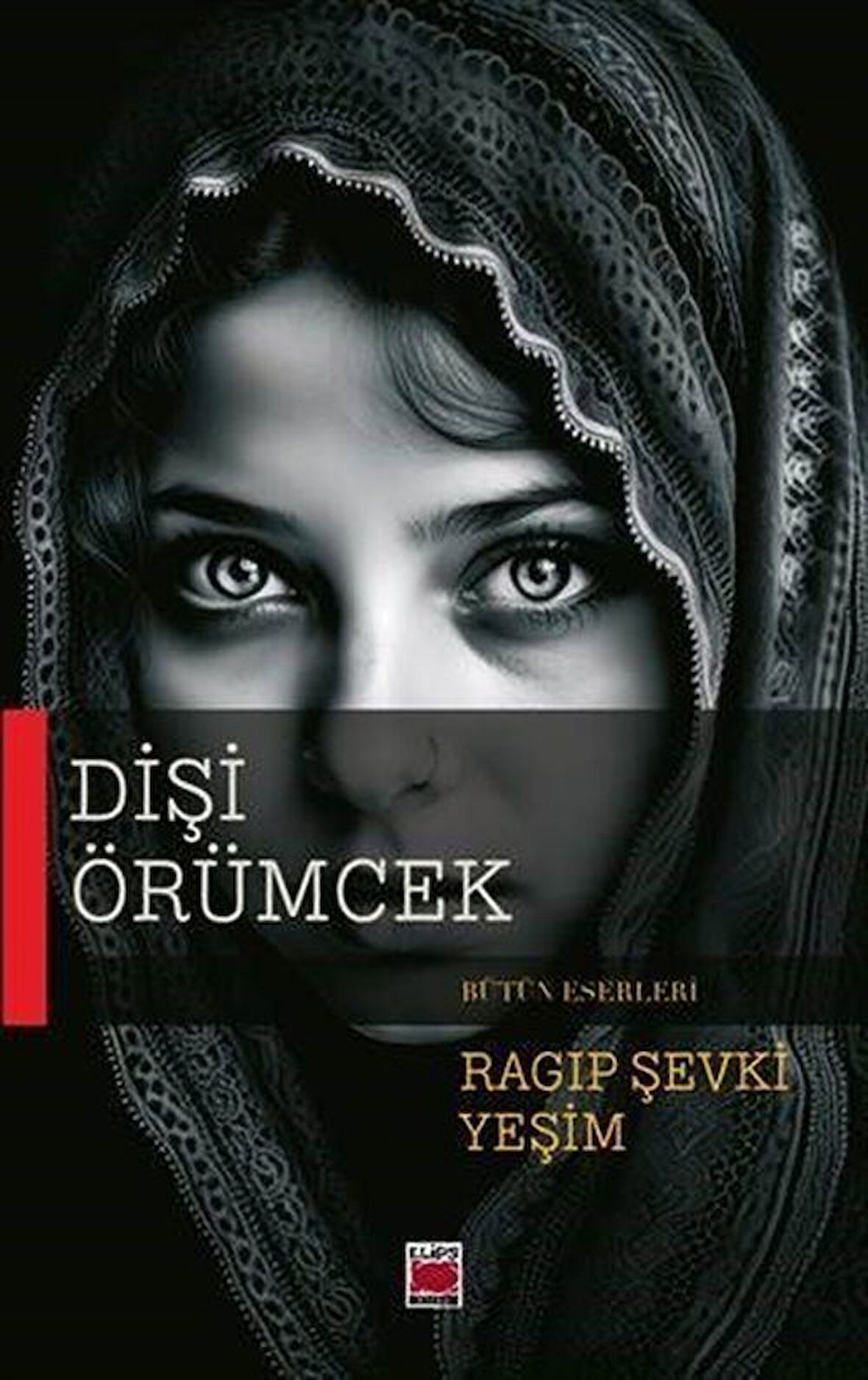 Dişi Örümcek / Ragıp Şevki Yeşim