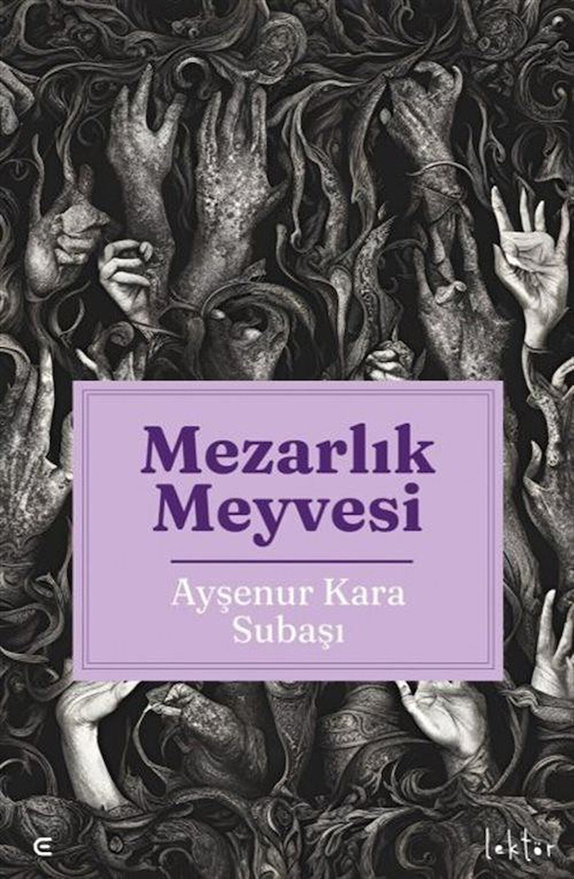 Mezarlık Meyvesi / Ayşenur Kara Subaşı