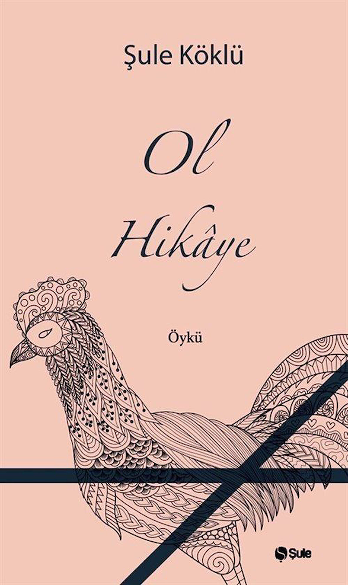 Ol Hikaye / Şule Köklü