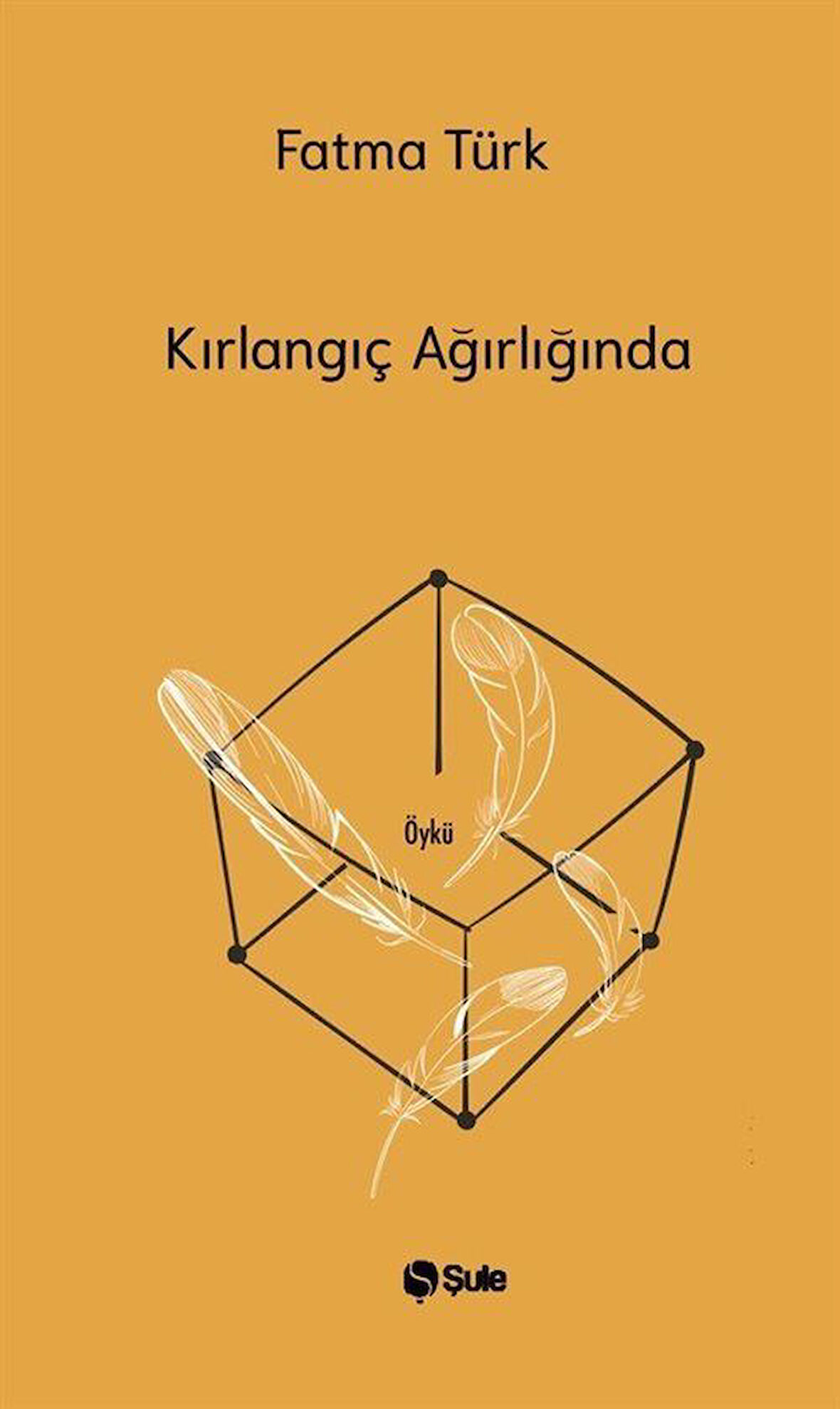 Kırlangıç Ağırlığında / Fatma Türk