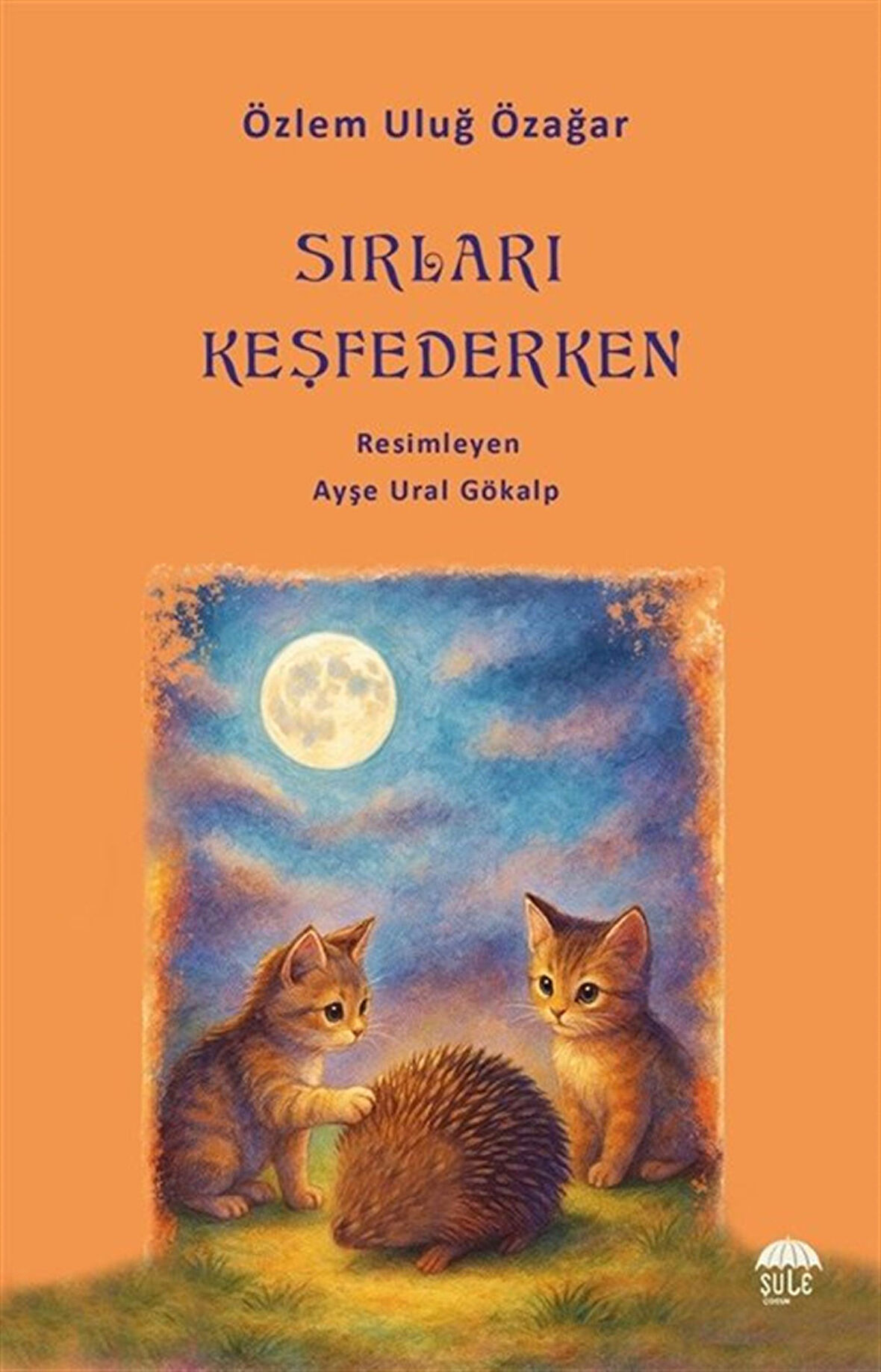 Sırları Keşfederken / Özlem Uluğ Özağar