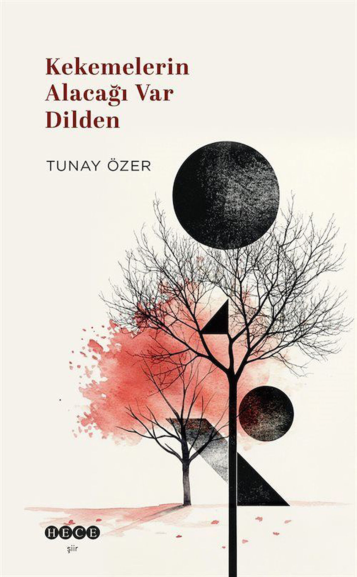 Kekemelerin Alacağı Var Dilden / Tunay Özer