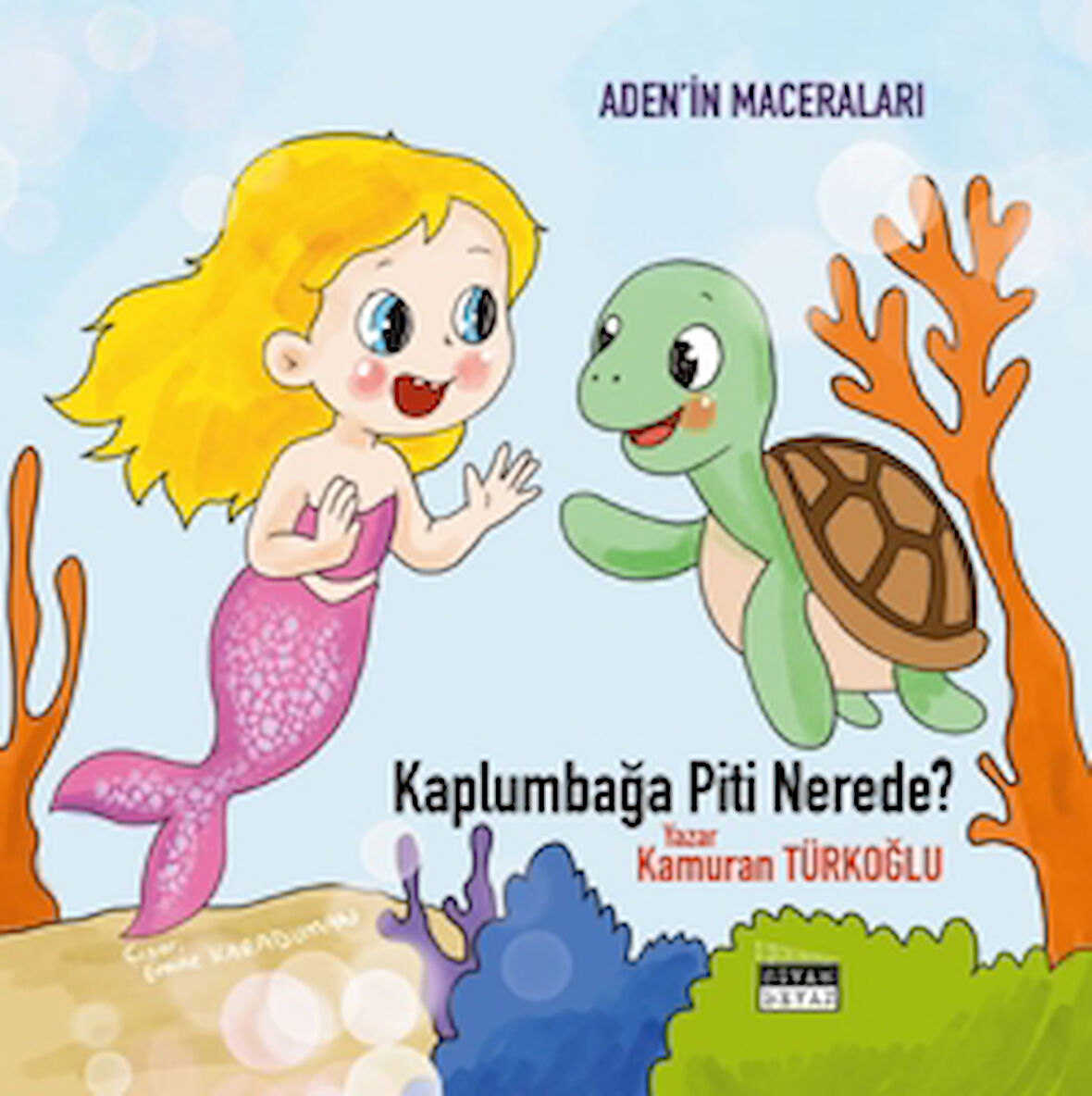 Kaplumbağa Piti Nerede?